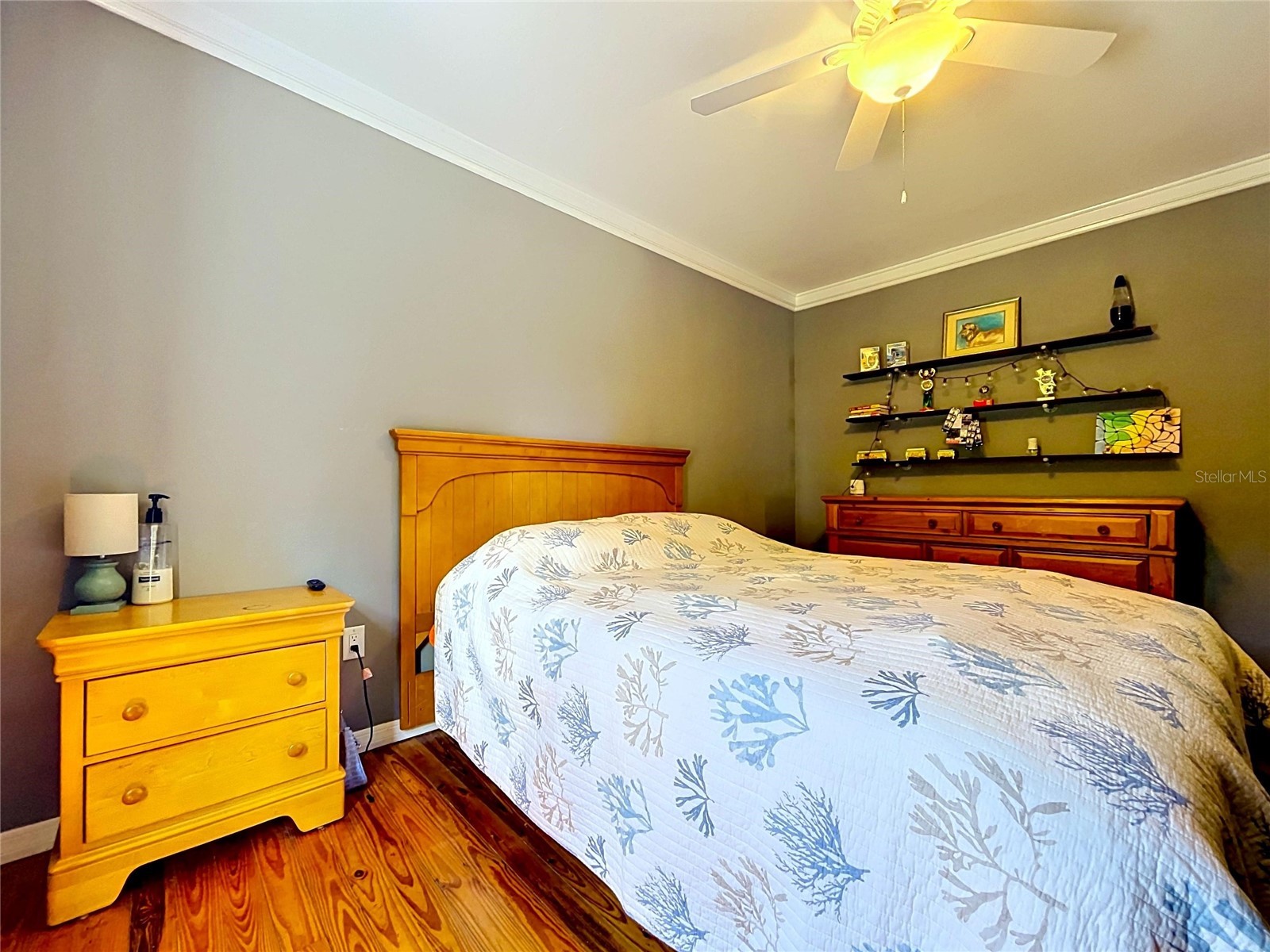 10824 Palmetto Street Riverview FL 33569 TB8511059 image28
