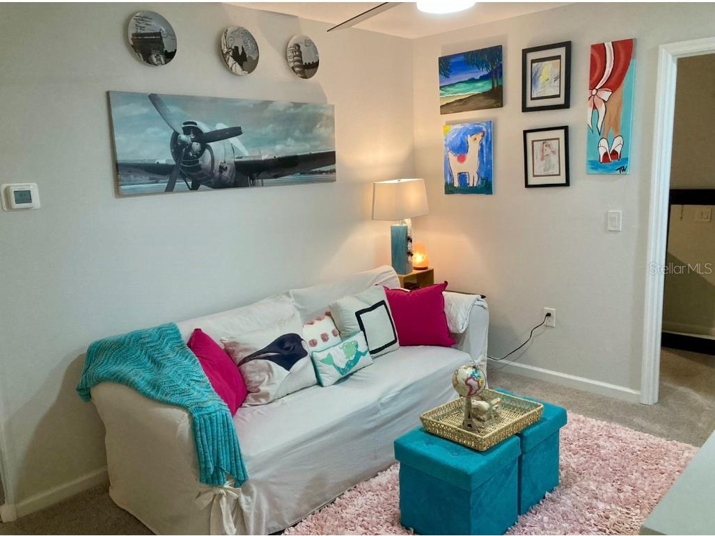 10824 Quickwater Court Riverview FL 33569 TB8401663 image33