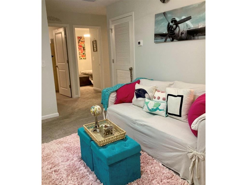 10824 Quickwater Court Riverview FL 33569 TB8401663 image34