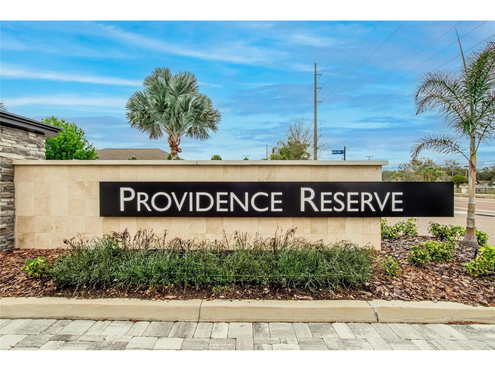 10824 Whitland Grove Drive Riverview FL 33578 TB8479887 image67