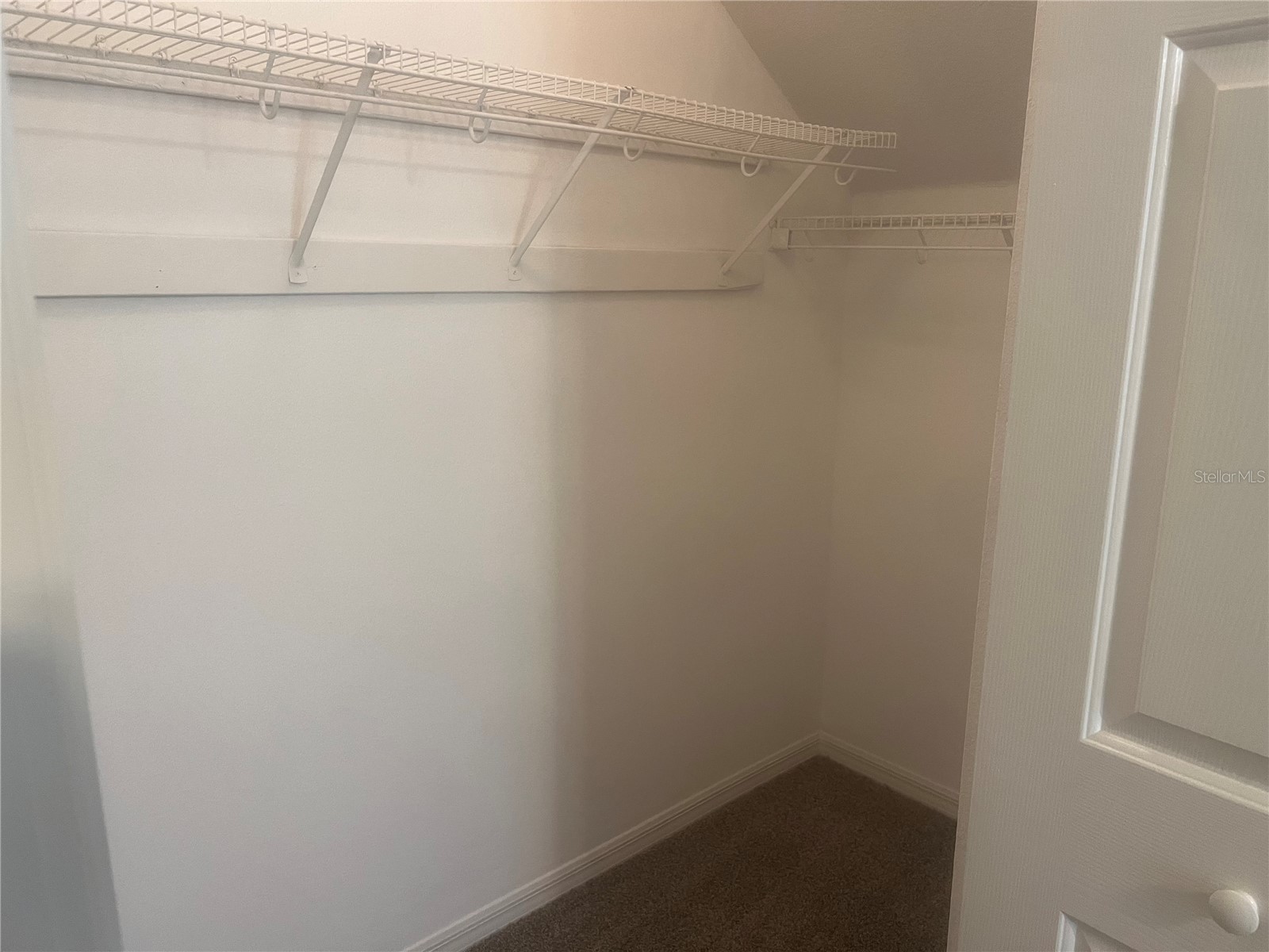 10825 Newbridge Drive Riverview FL 33579 TB8511317 image12