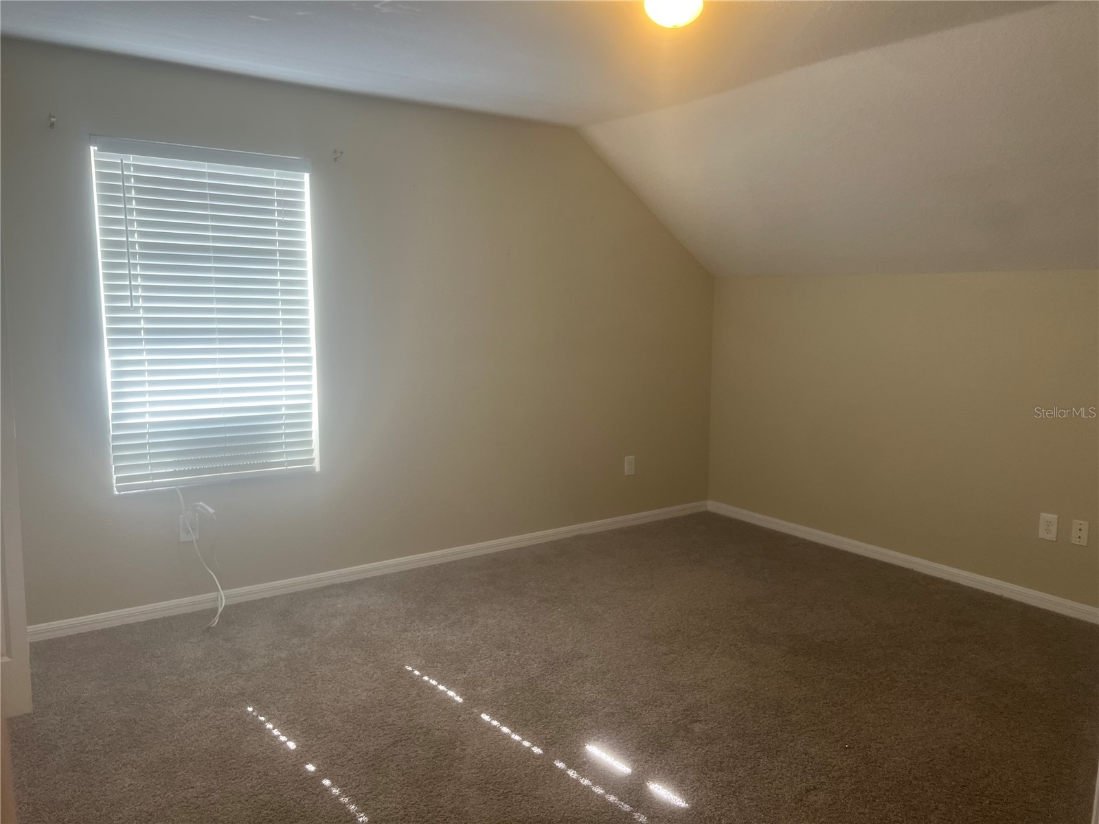 10825 Newbridge Drive Riverview FL 33579 TB8511317 image16