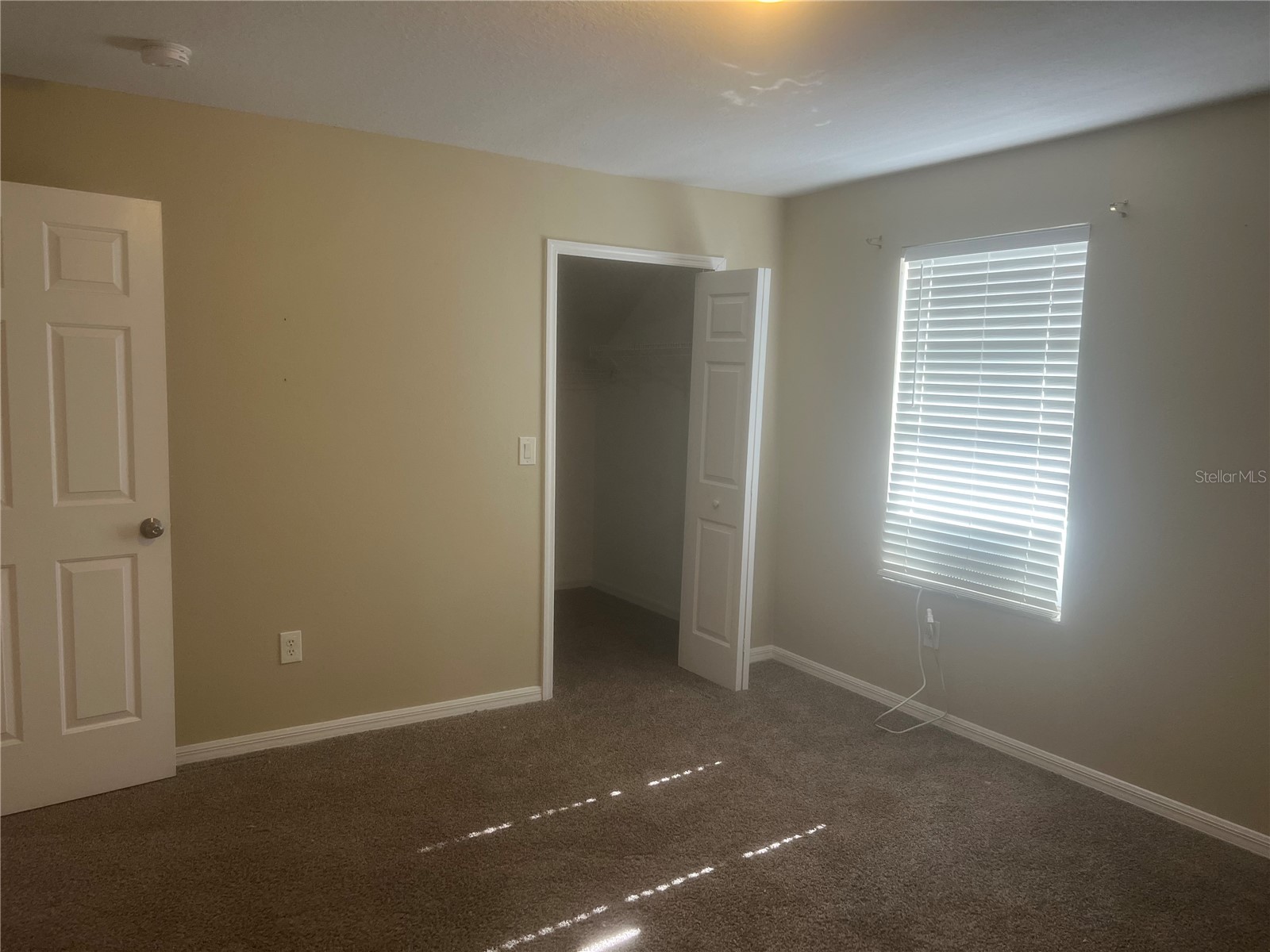 10825 Newbridge Drive Riverview FL 33579 TB8511317 image18