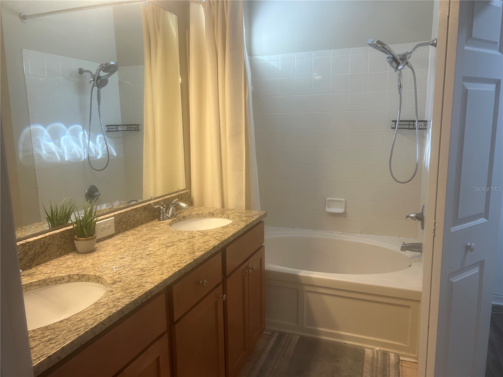 10825 Newbridge Drive Riverview FL 33579 TB8511317 image21