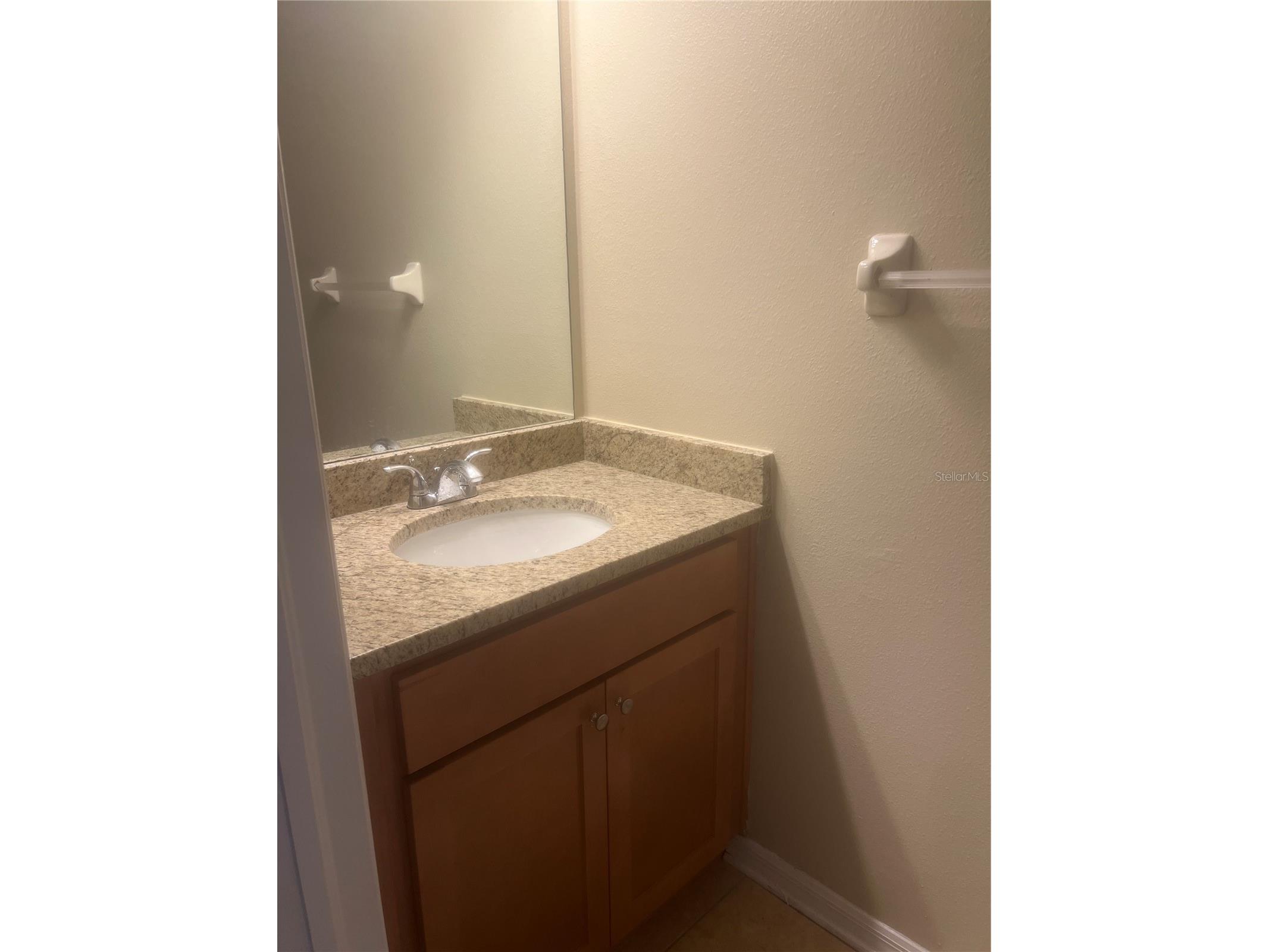 10825 Newbridge Drive Riverview FL 33579 TB8511317 image26