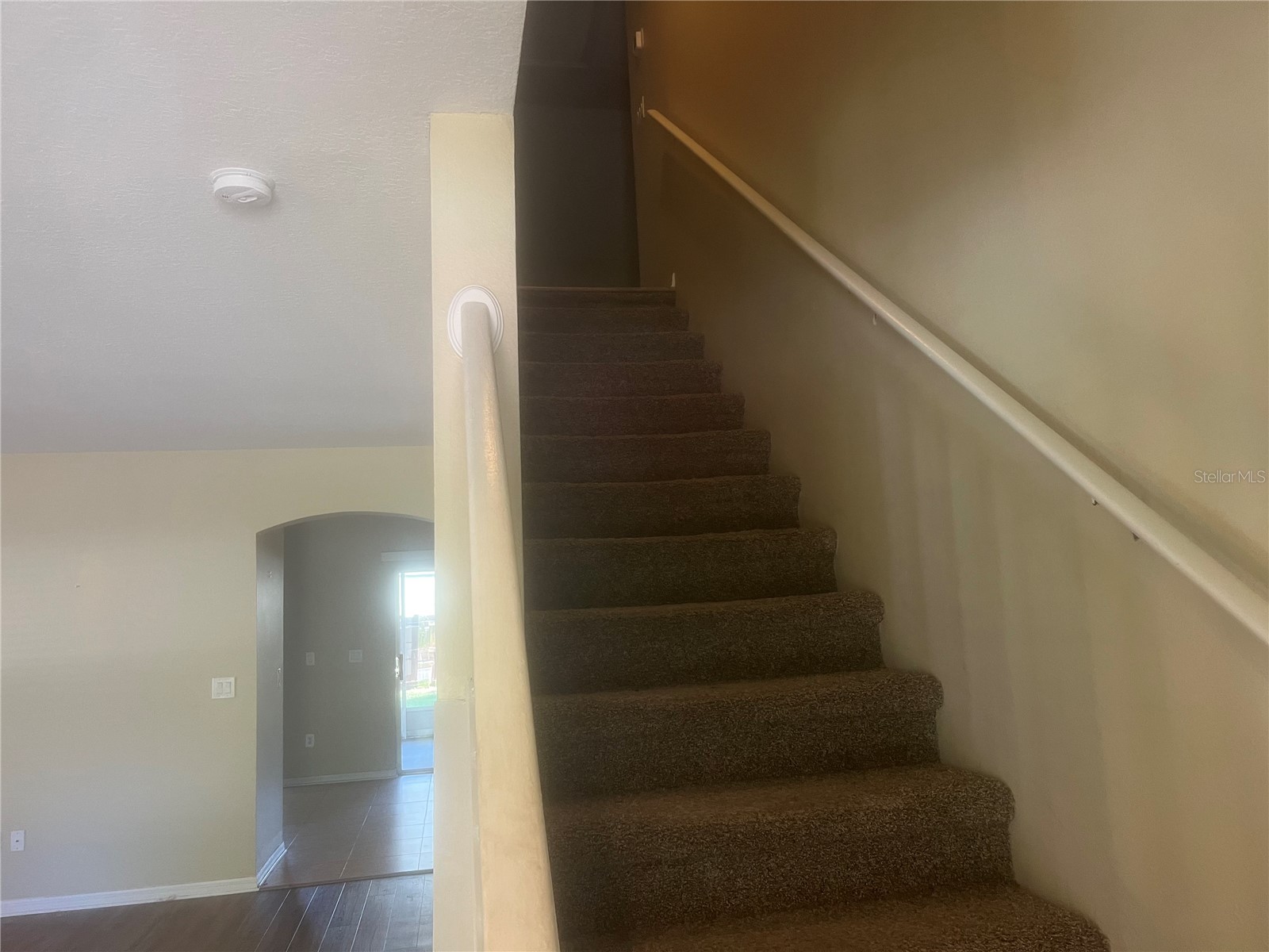 10825 Newbridge Drive Riverview FL 33579 TB8511317 image29