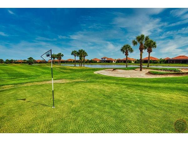 10825 Tarflower Drive #202 Venice FL 34293 N6144316 image42