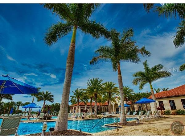 10825 Tarflower Drive #202 Venice FL 34293 N6144316 image5