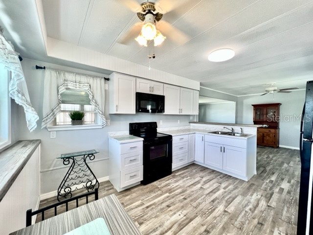 10826 Freedom Drive Port Richey FL 34668 W7884929 image17