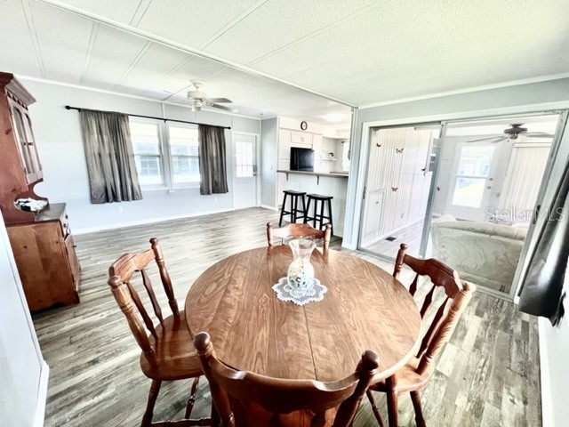 10826 Freedom Drive Port Richey FL 34668 W7884929 image25