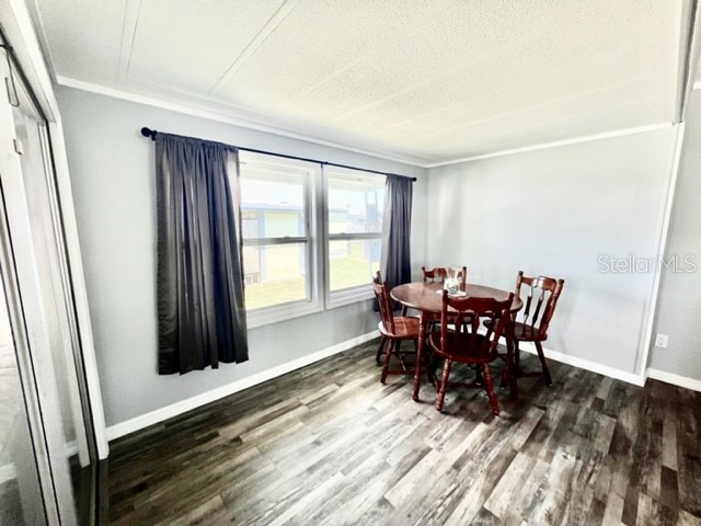 10826 Freedom Drive Port Richey FL 34668 W7884929 image27