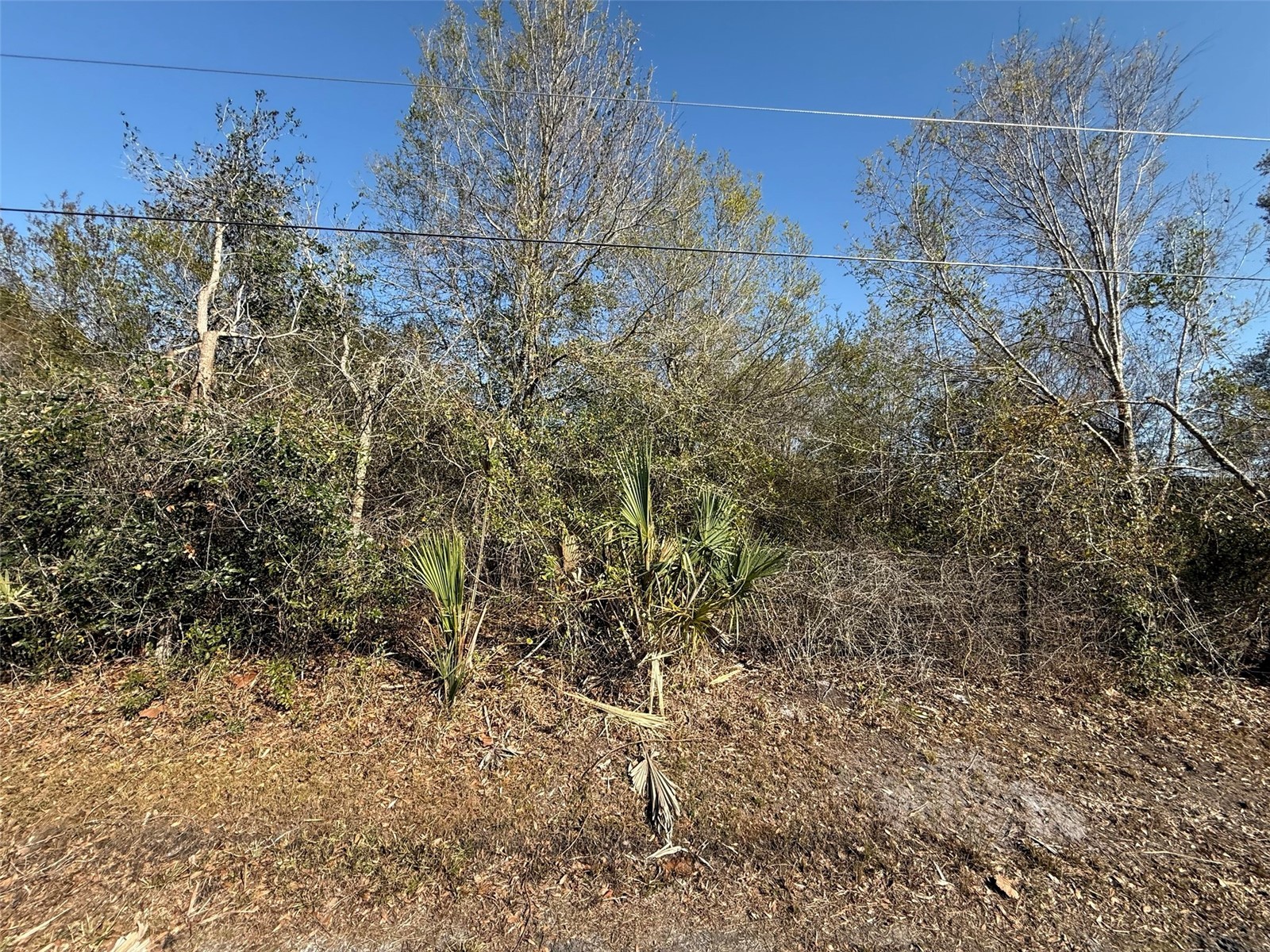 10826 NW 4th Avenue Okeechobee FL 34972 K4903286 image2