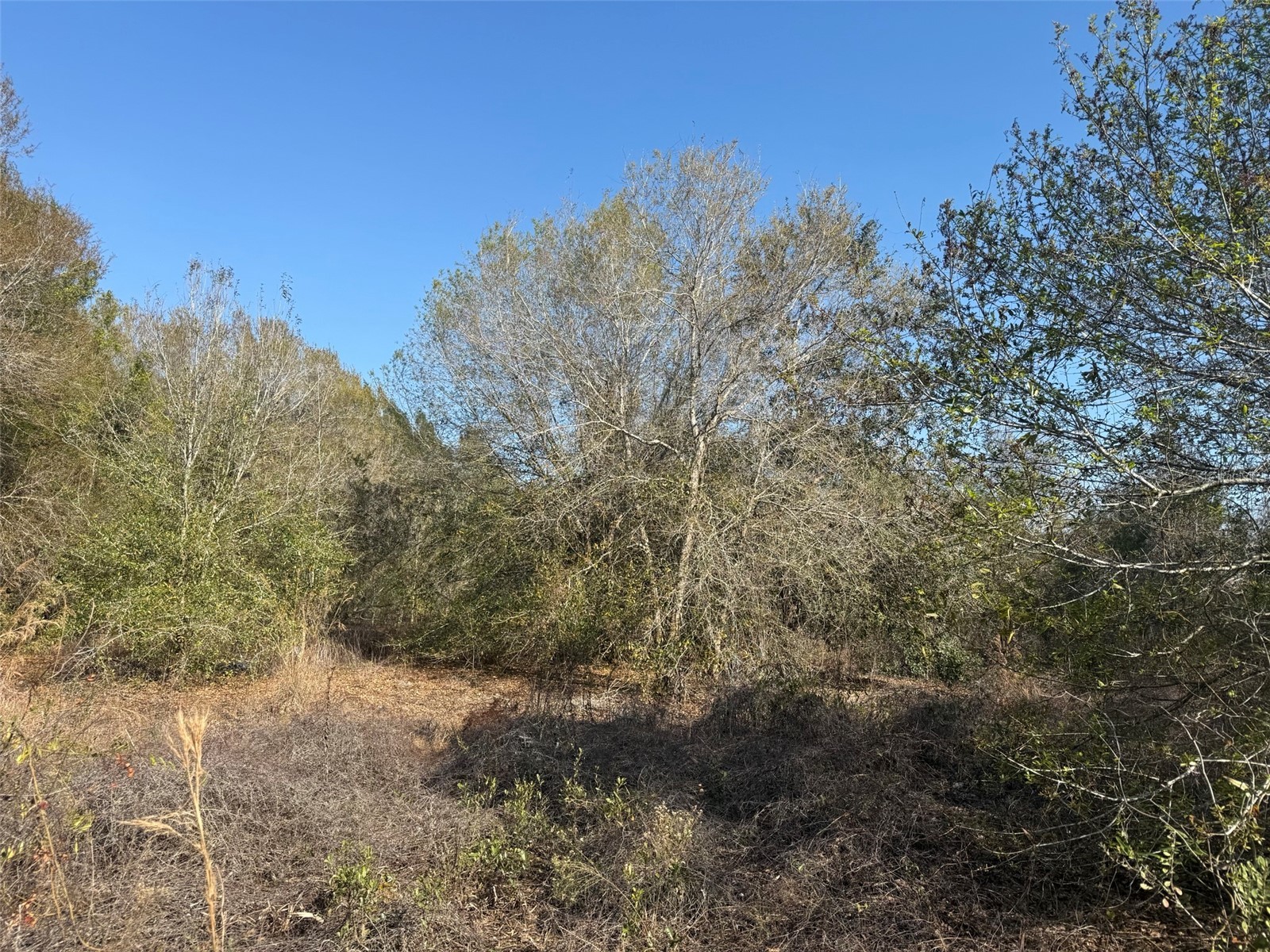 10826 NW 4th Avenue Okeechobee FL 34972 K4903286 image4