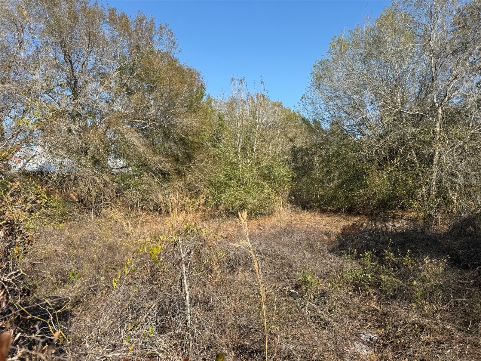 10826 NW 4th Avenue Okeechobee FL 34972 K4903286 image5