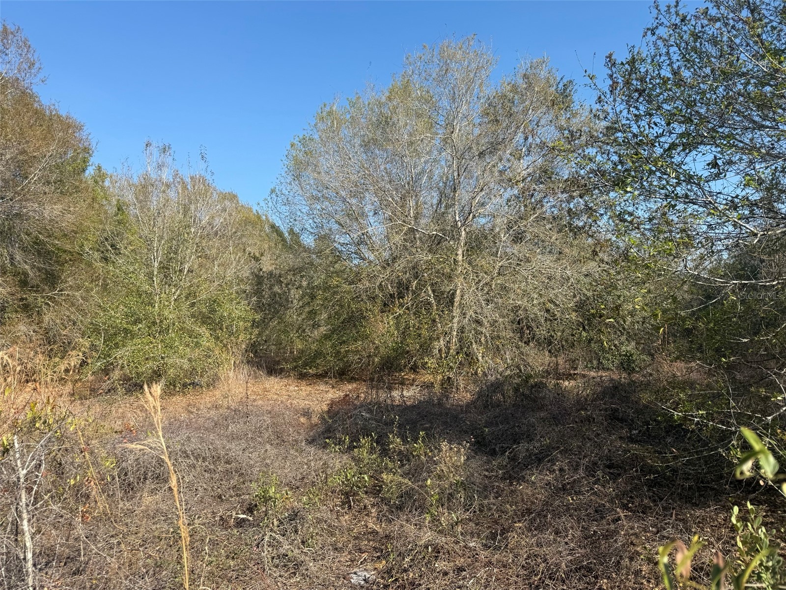 10826 NW 4th Avenue Okeechobee FL 34972 K4903286 image6