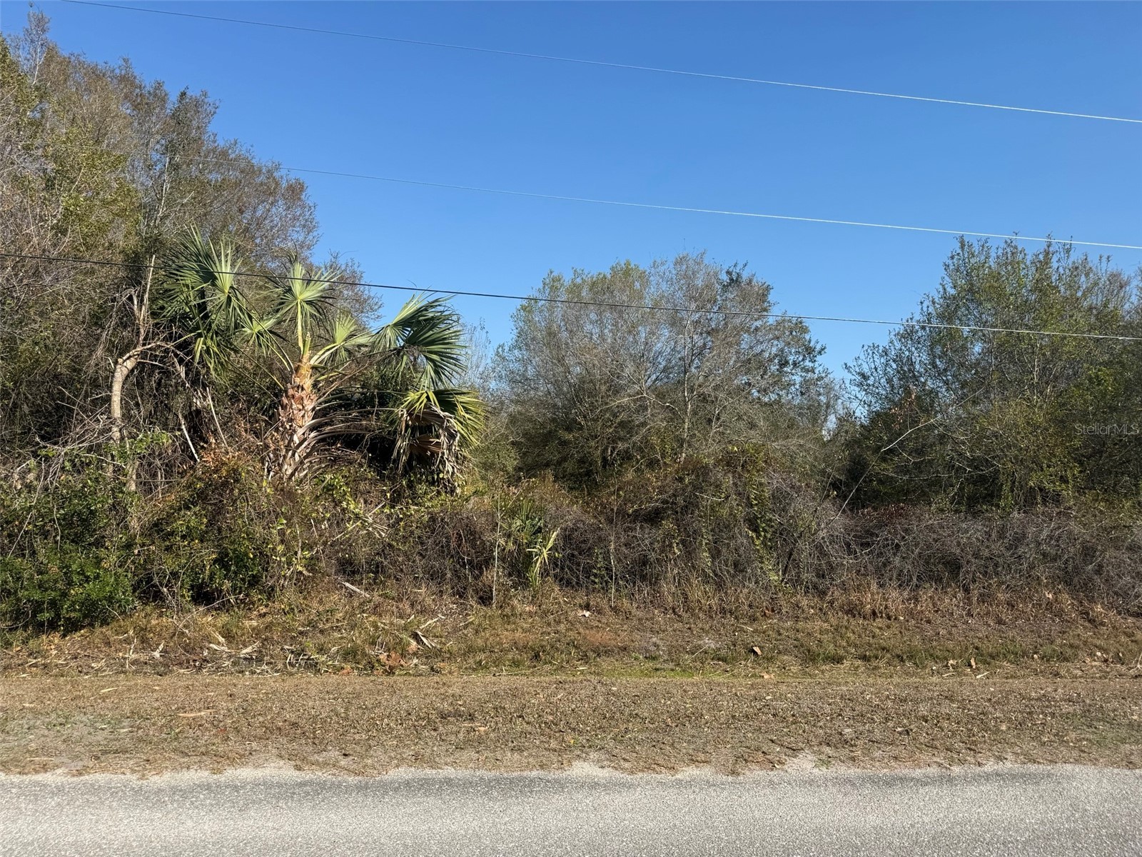 10826 NW 4th Avenue Okeechobee FL 34972 K4903286 image8