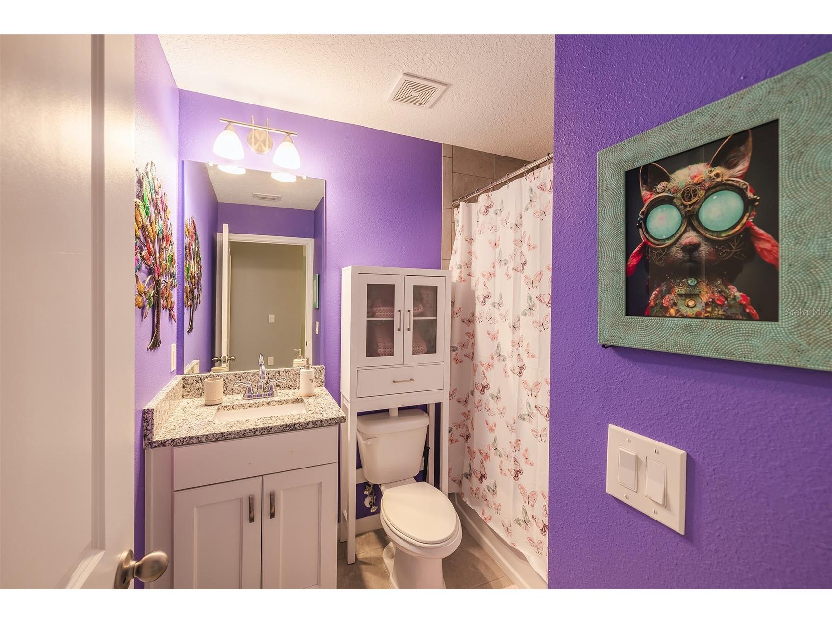 10826 Quickwater Riverview FL 33569 TB8486855 image26