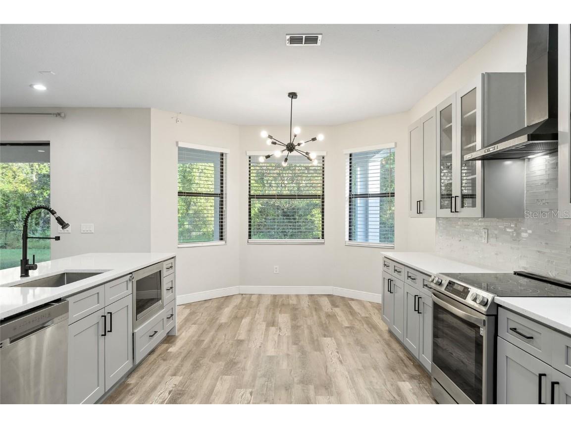 10826 Rain Lilly Pass Land O Lakes FL 34638 TB8439144 image13