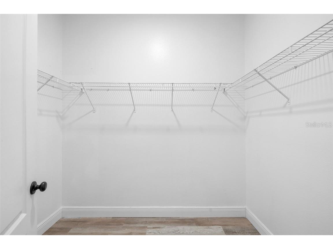 10826 Rain Lilly Pass Land O Lakes FL 34638 TB8439144 image32