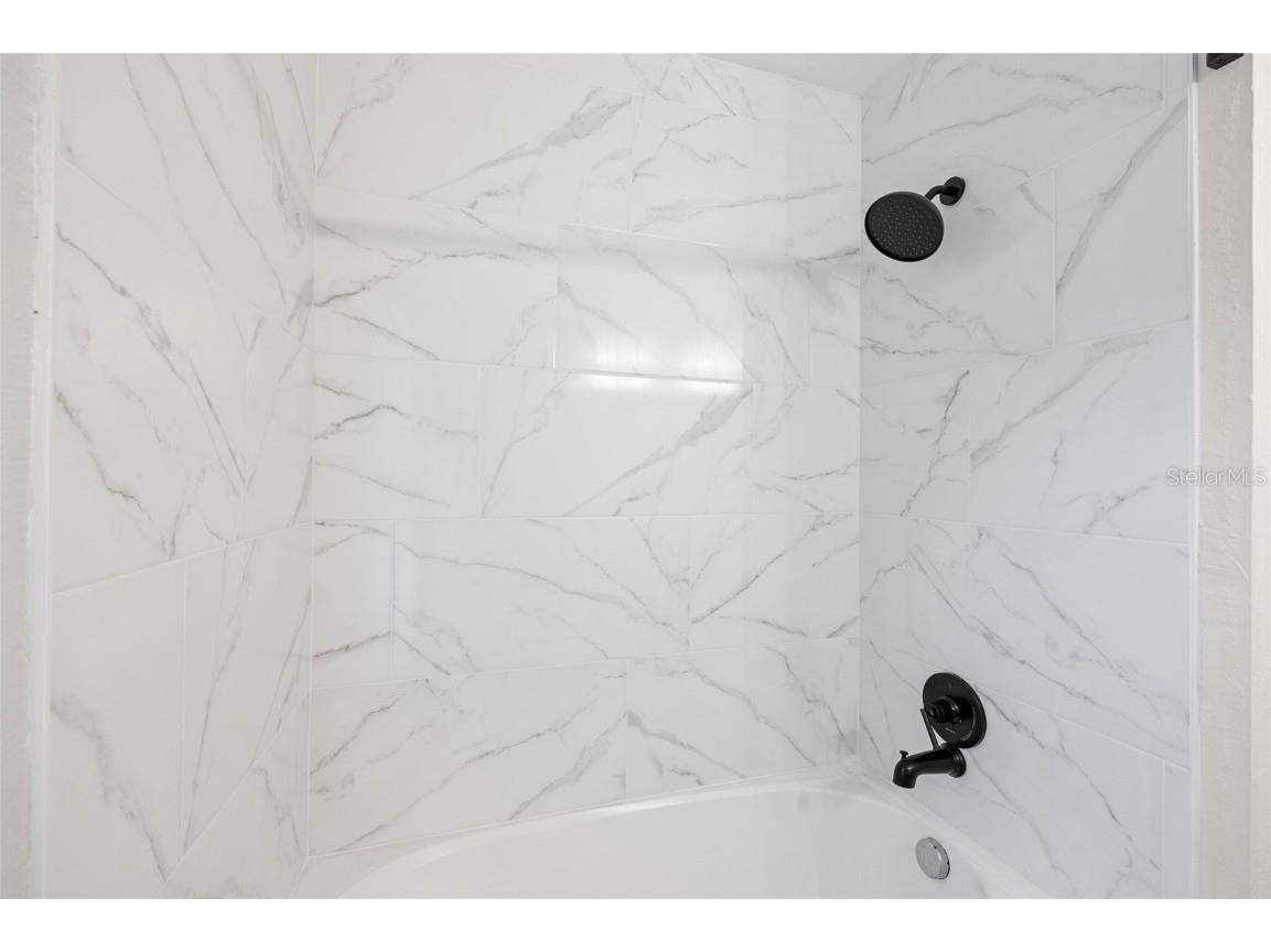 10826 Rain Lilly Pass Land O Lakes FL 34638 TB8439144 image36