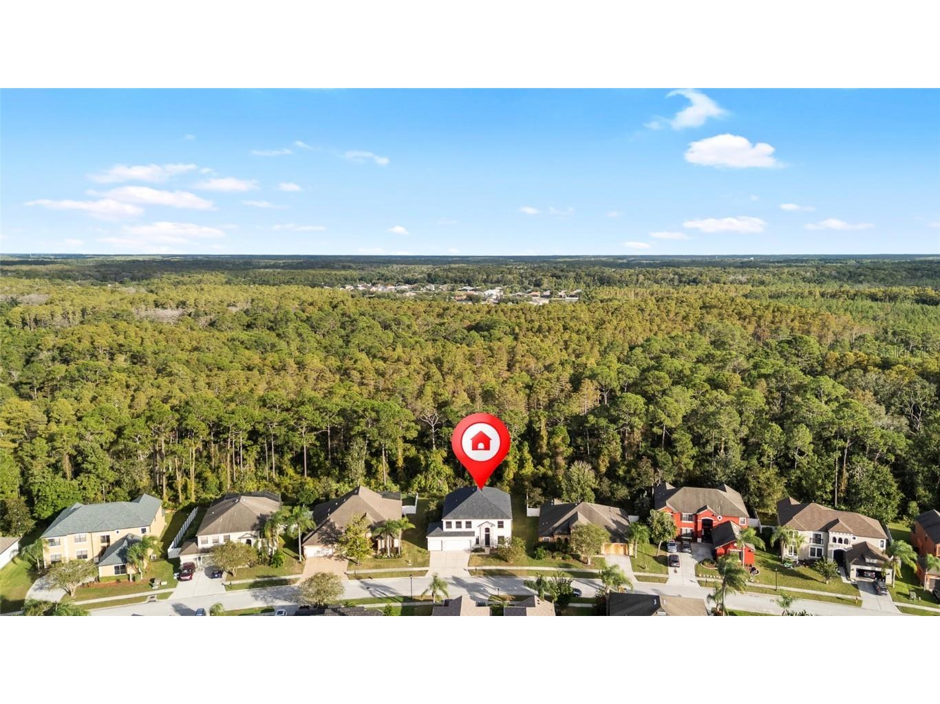 10826 Rain Lilly Pass Land O Lakes FL 34638 TB8439144 image4