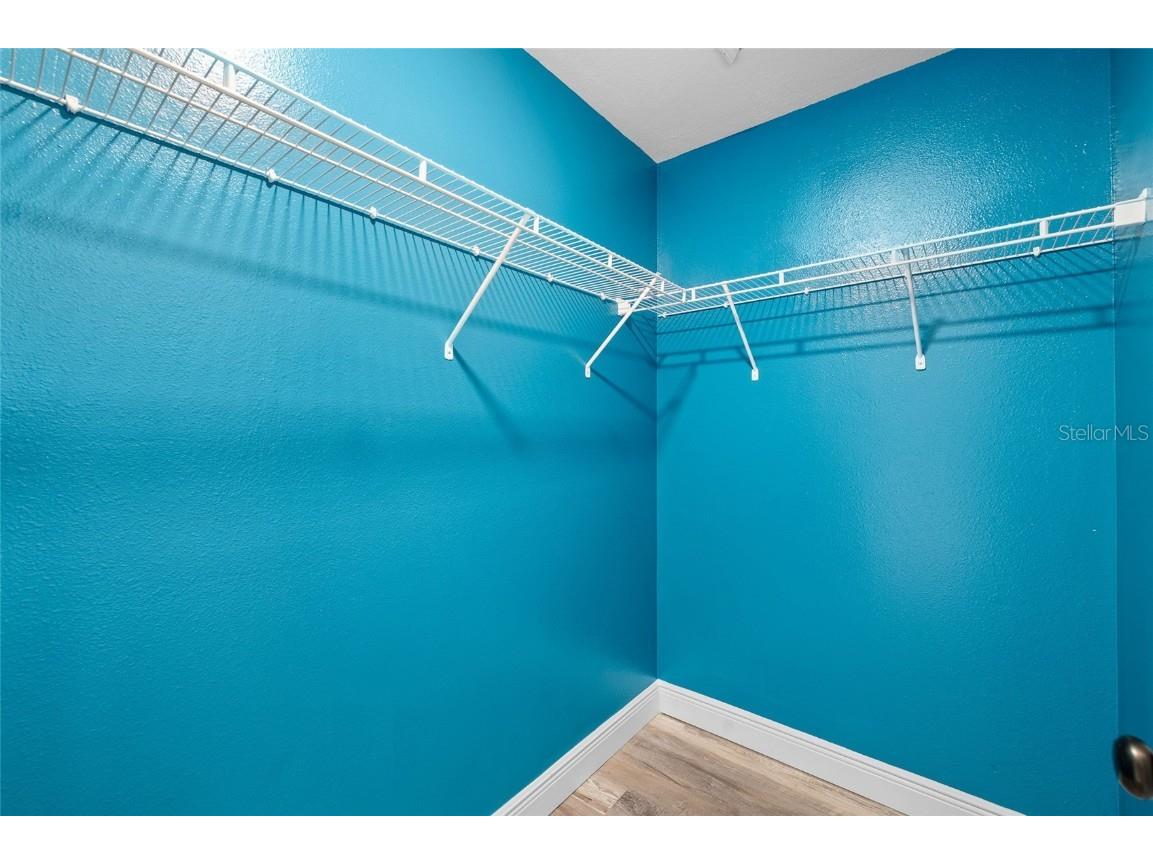 10826 Rain Lilly Pass Land O Lakes FL 34638 TB8439144 image41