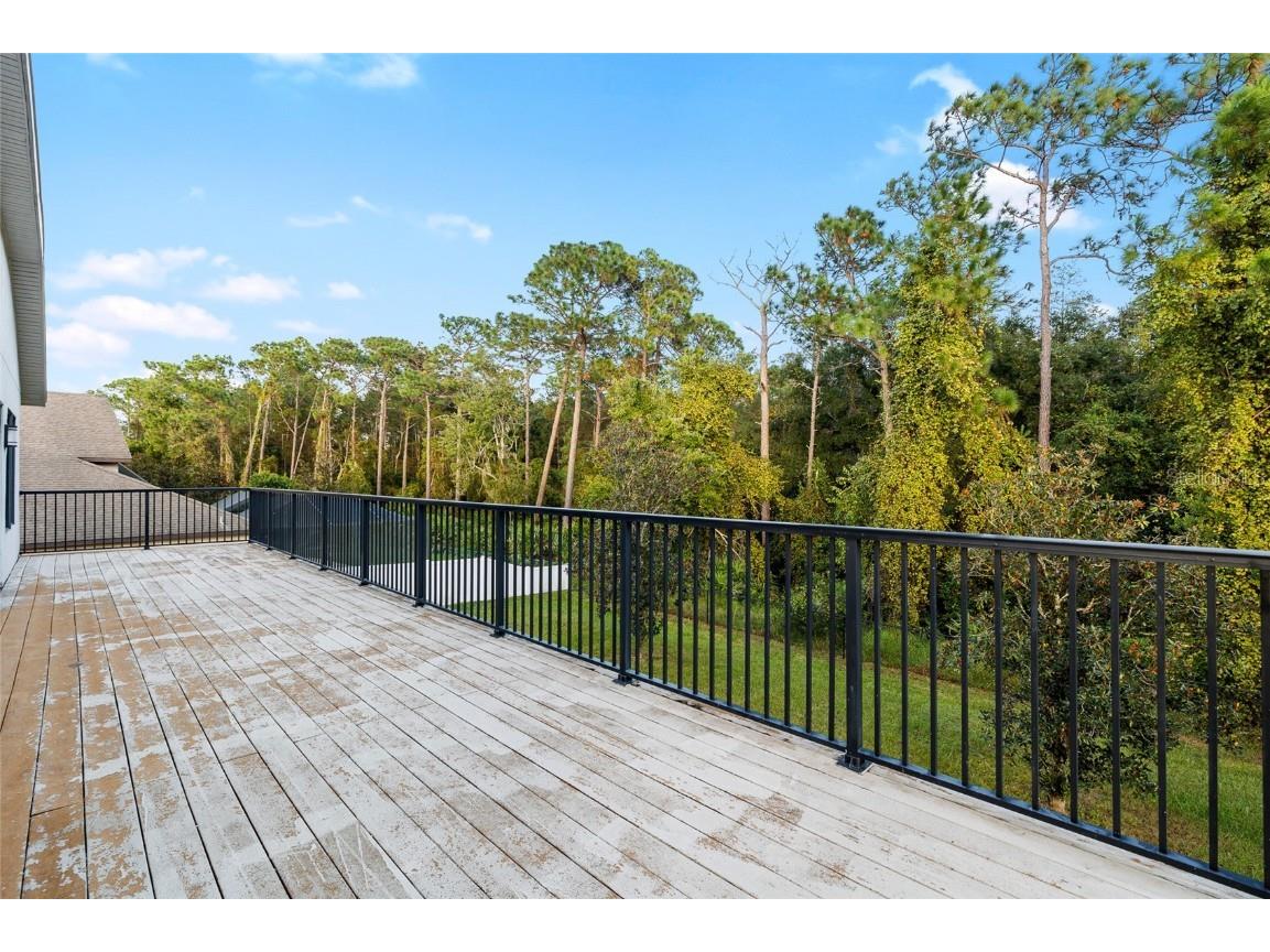 10826 Rain Lilly Pass Land O Lakes FL 34638 TB8439144 image45