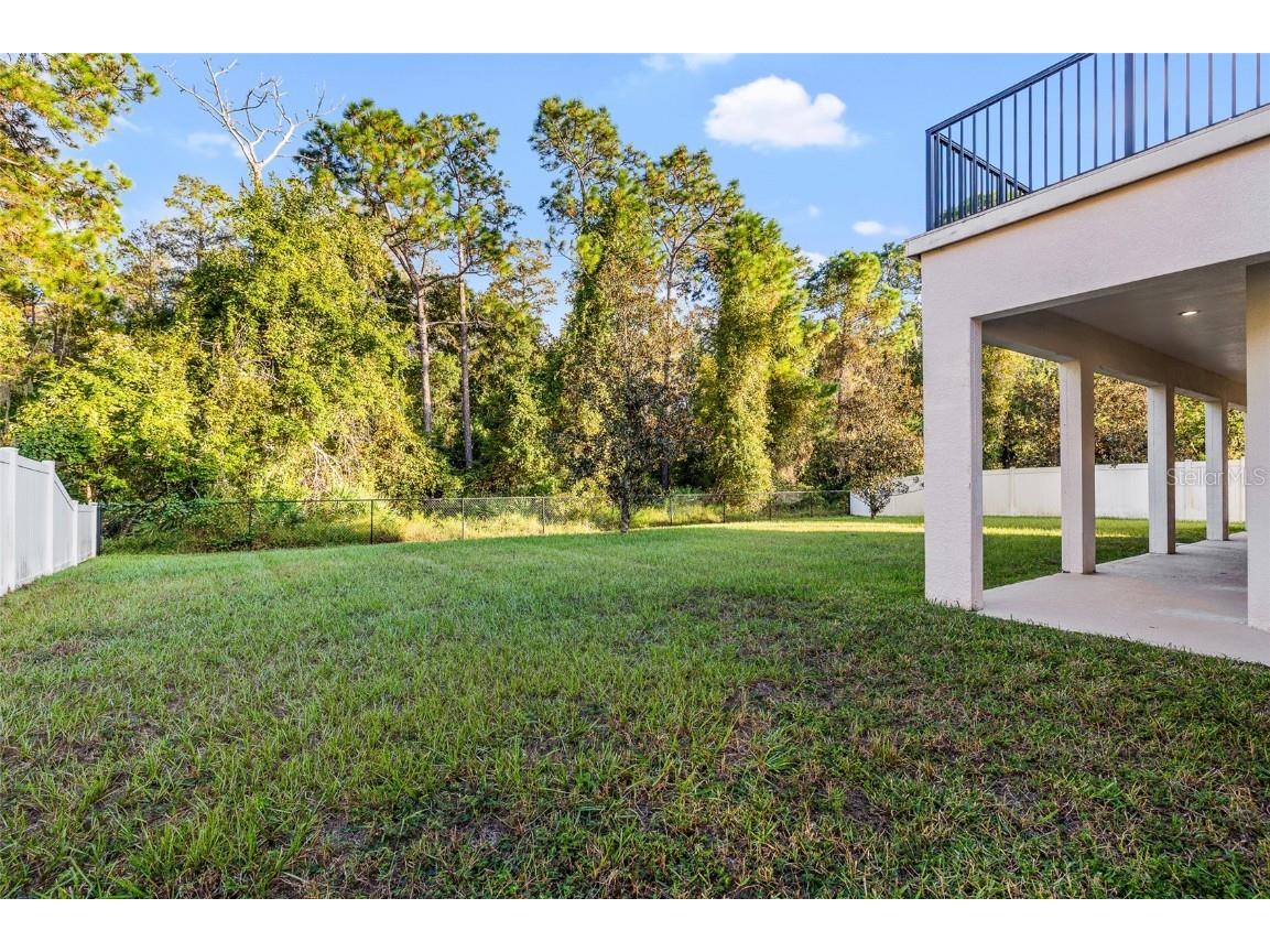 10826 Rain Lilly Pass Land O Lakes FL 34638 TB8439144 image46