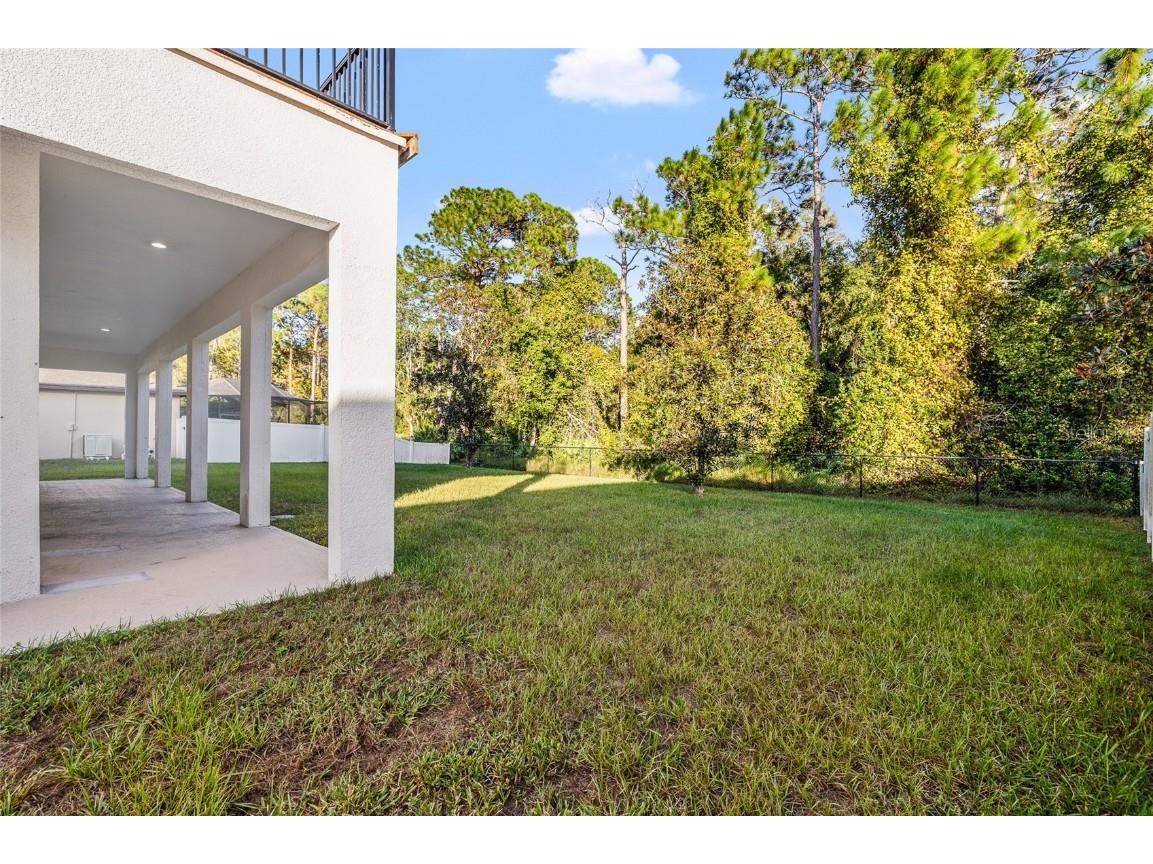 10826 Rain Lilly Pass Land O Lakes FL 34638 TB8439144 image49