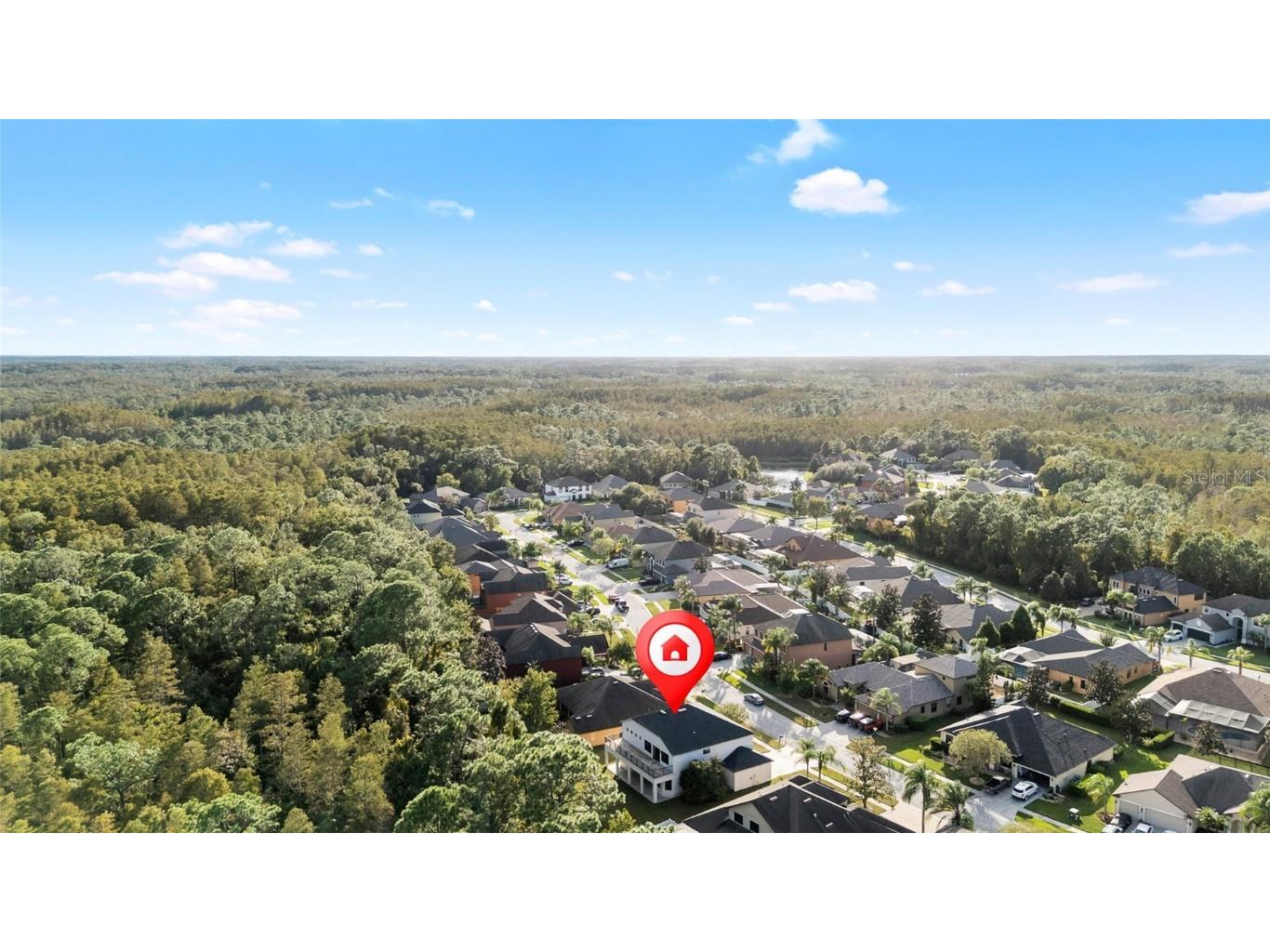 10826 Rain Lilly Pass Land O Lakes FL 34638 TB8439144 image57