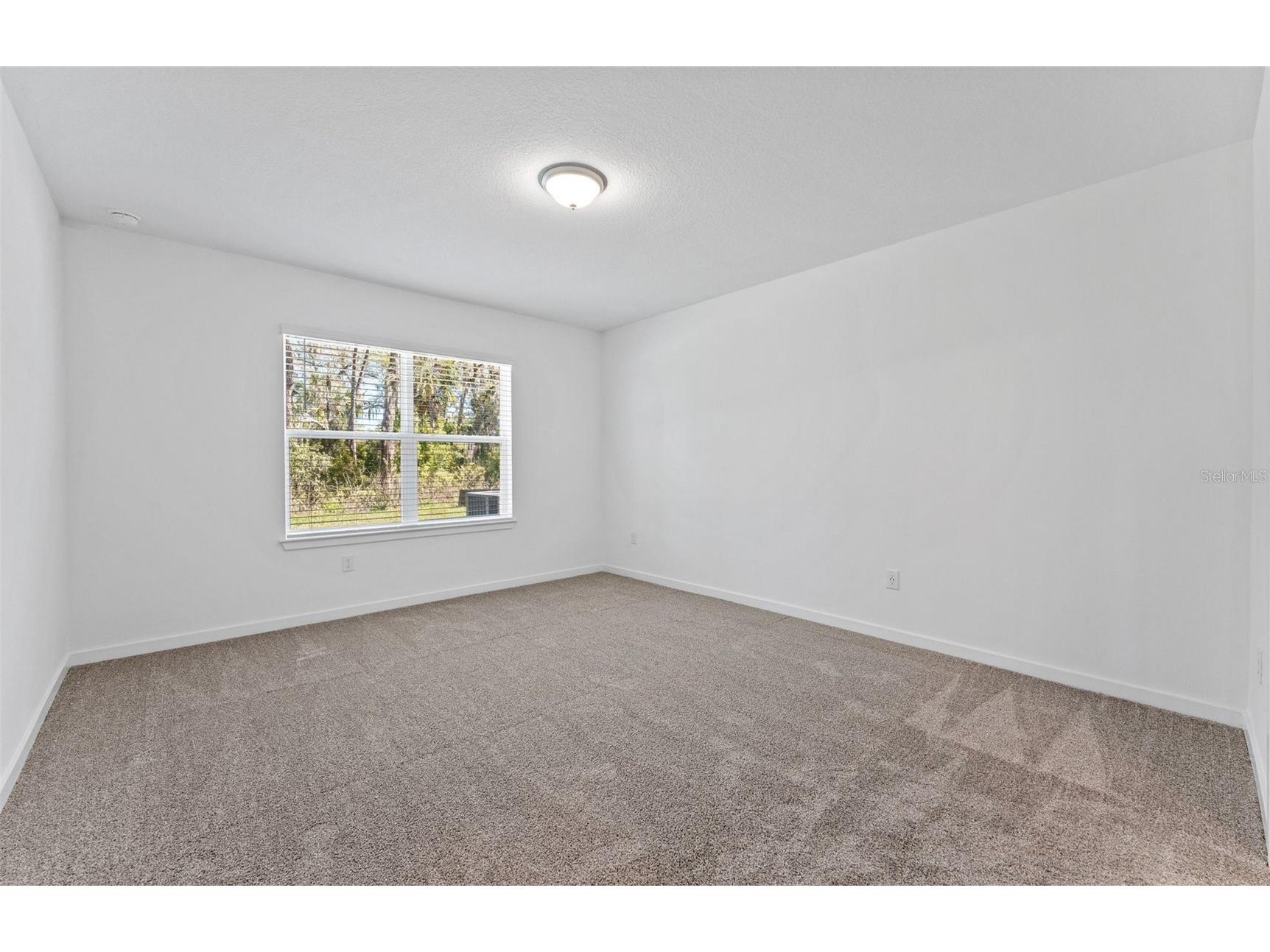 10826 Sapphire Breeze Cove Parrish FL 34219 TB8456043 image8