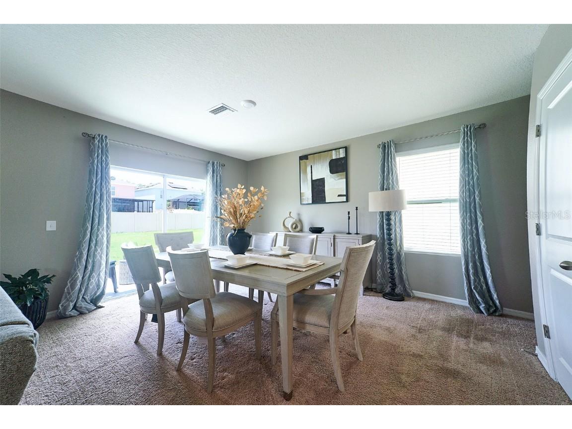 10826 Trailing Vine Drive Tampa FL 33610 TB8388809 image23