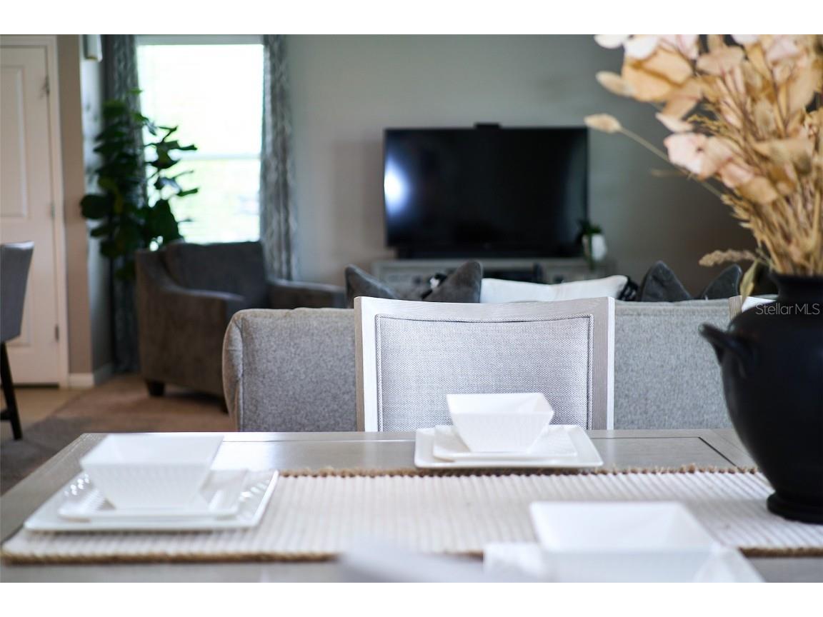 10826 Trailing Vine Drive Tampa FL 33610 TB8388809 image26