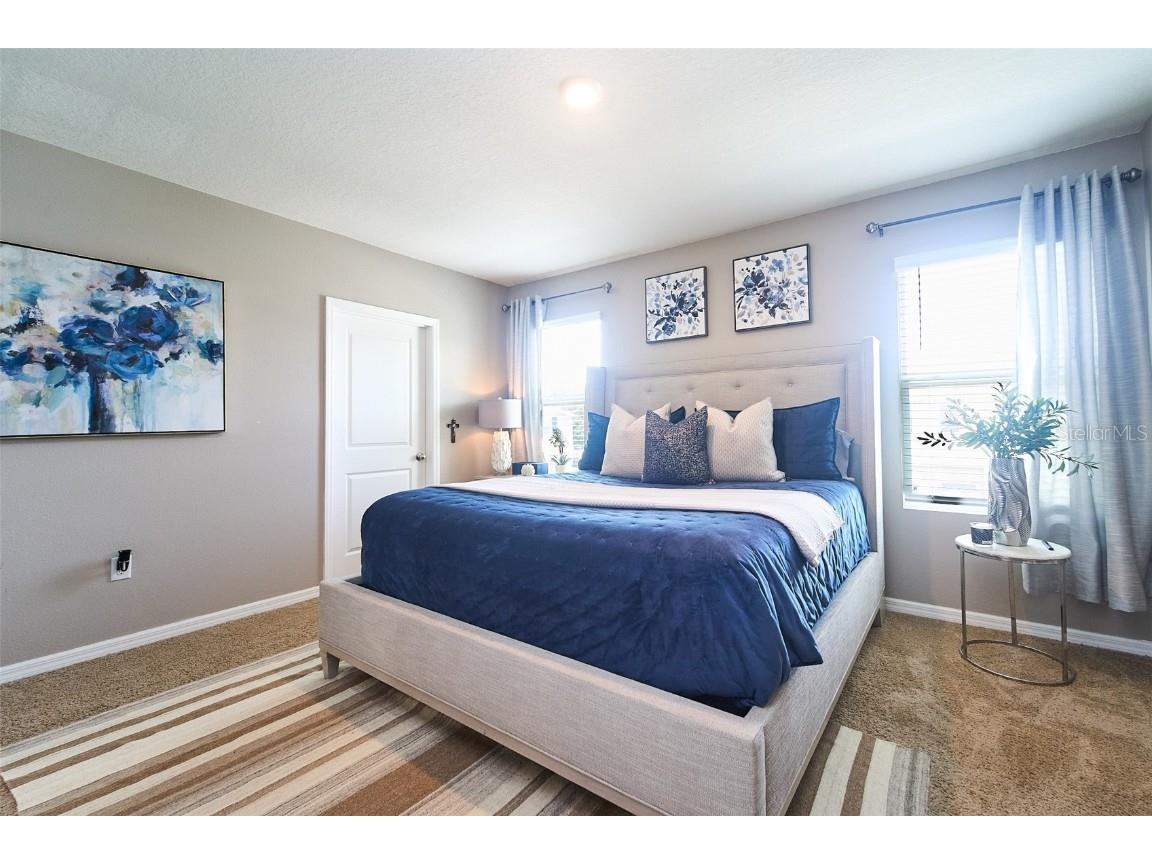 10826 Trailing Vine Drive Tampa FL 33610 TB8388809 image37