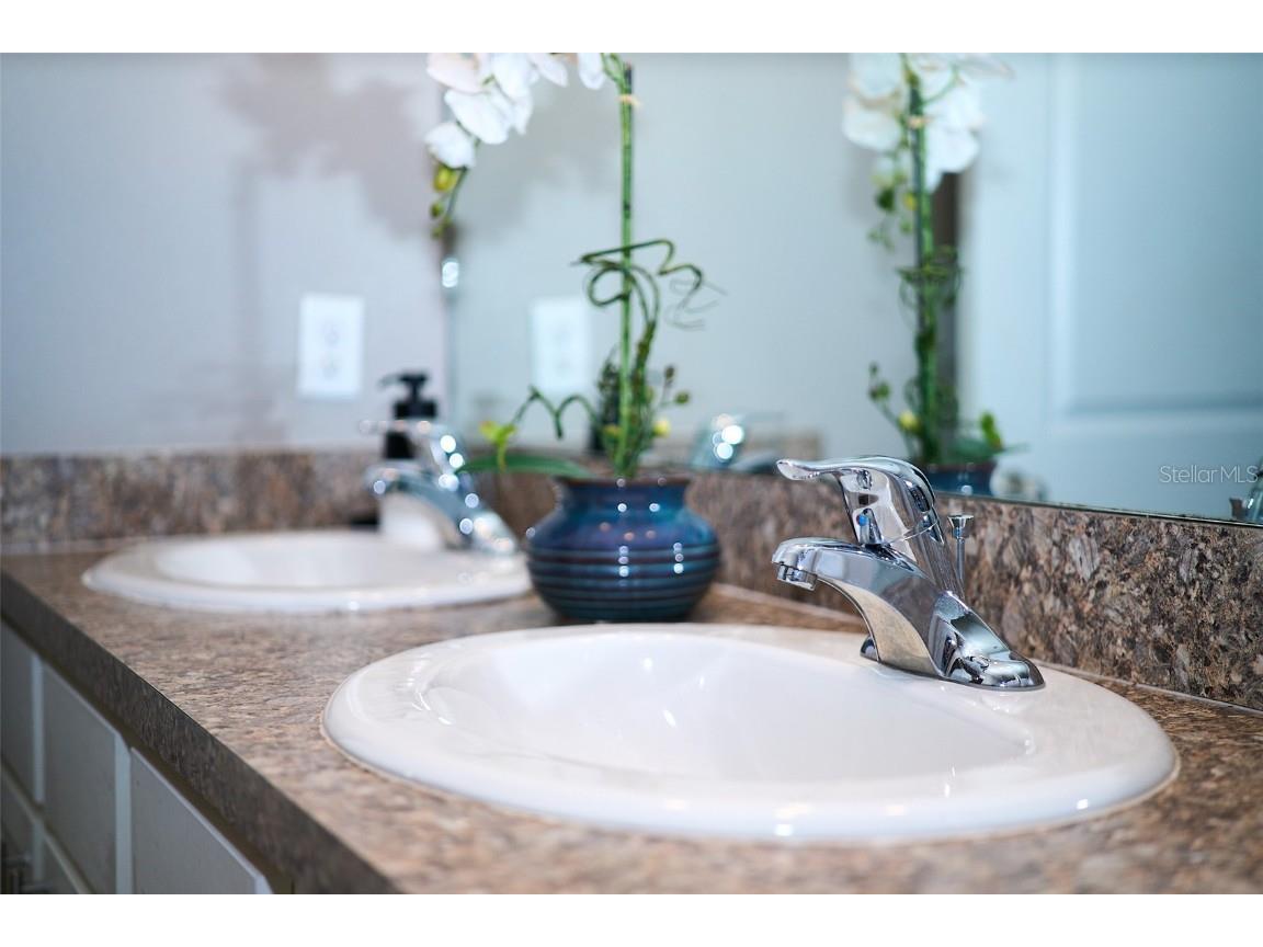 10826 Trailing Vine Drive Tampa FL 33610 TB8388809 image40