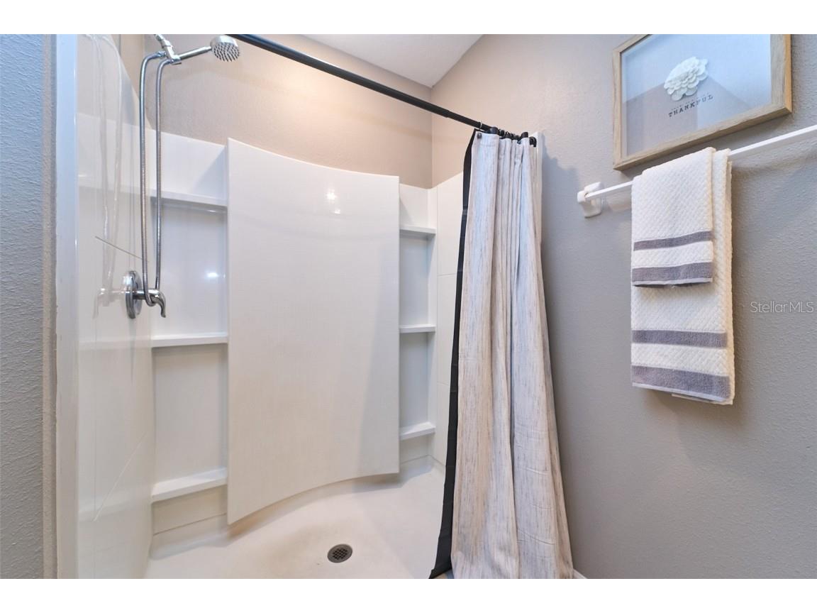 10826 Trailing Vine Drive Tampa FL 33610 TB8388809 image41