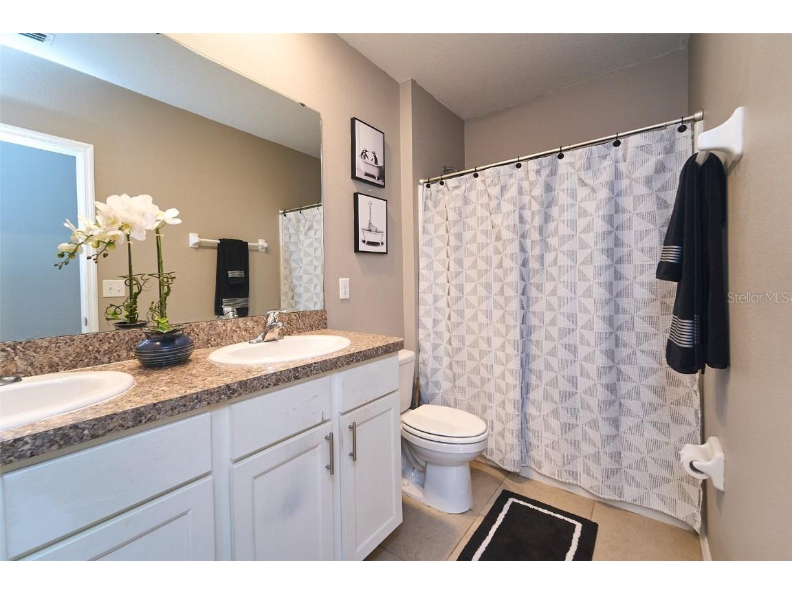 10826 Trailing Vine Drive Tampa FL 33610 TB8388809 image42