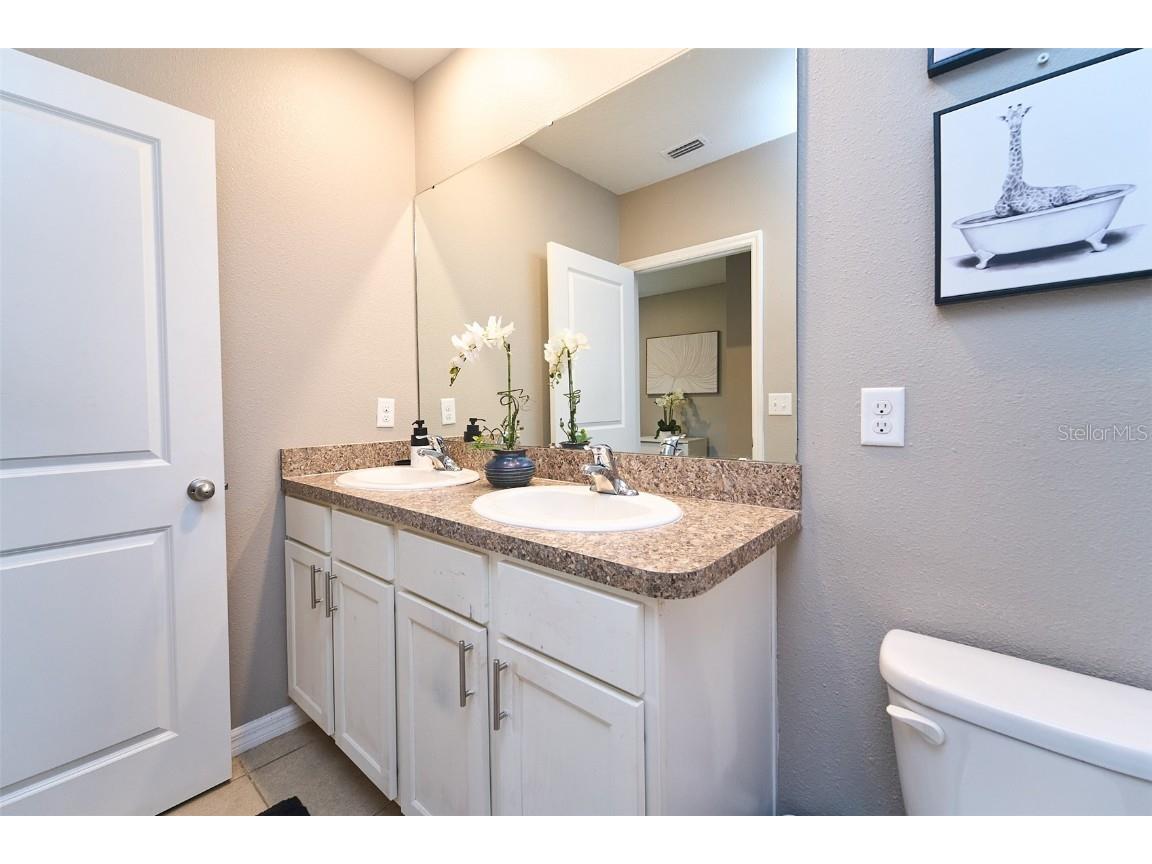 10826 Trailing Vine Drive Tampa FL 33610 TB8388809 image43