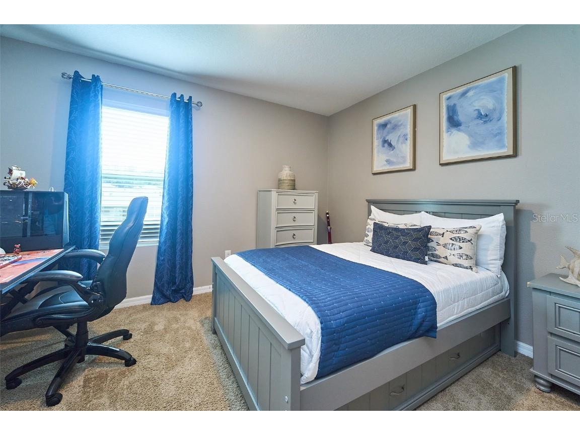 10826 Trailing Vine Drive Tampa FL 33610 TB8388809 image45