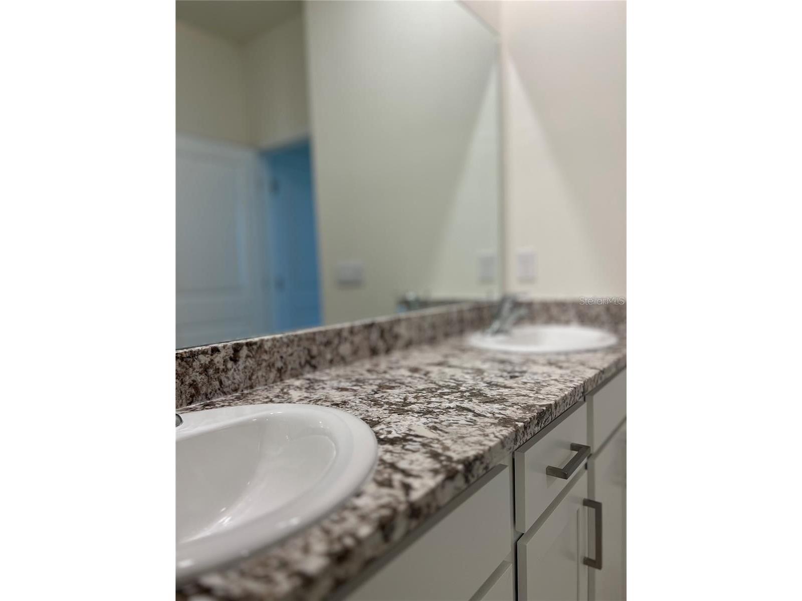 10828 Charlotte Drive Parrish FL 34219 A4676826 image41