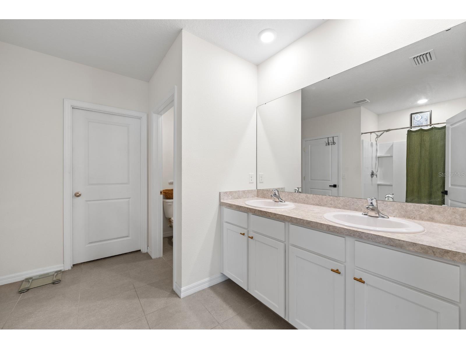 10828 Trailing Vine Drive Tampa FL 33610 TB8532265 image16
