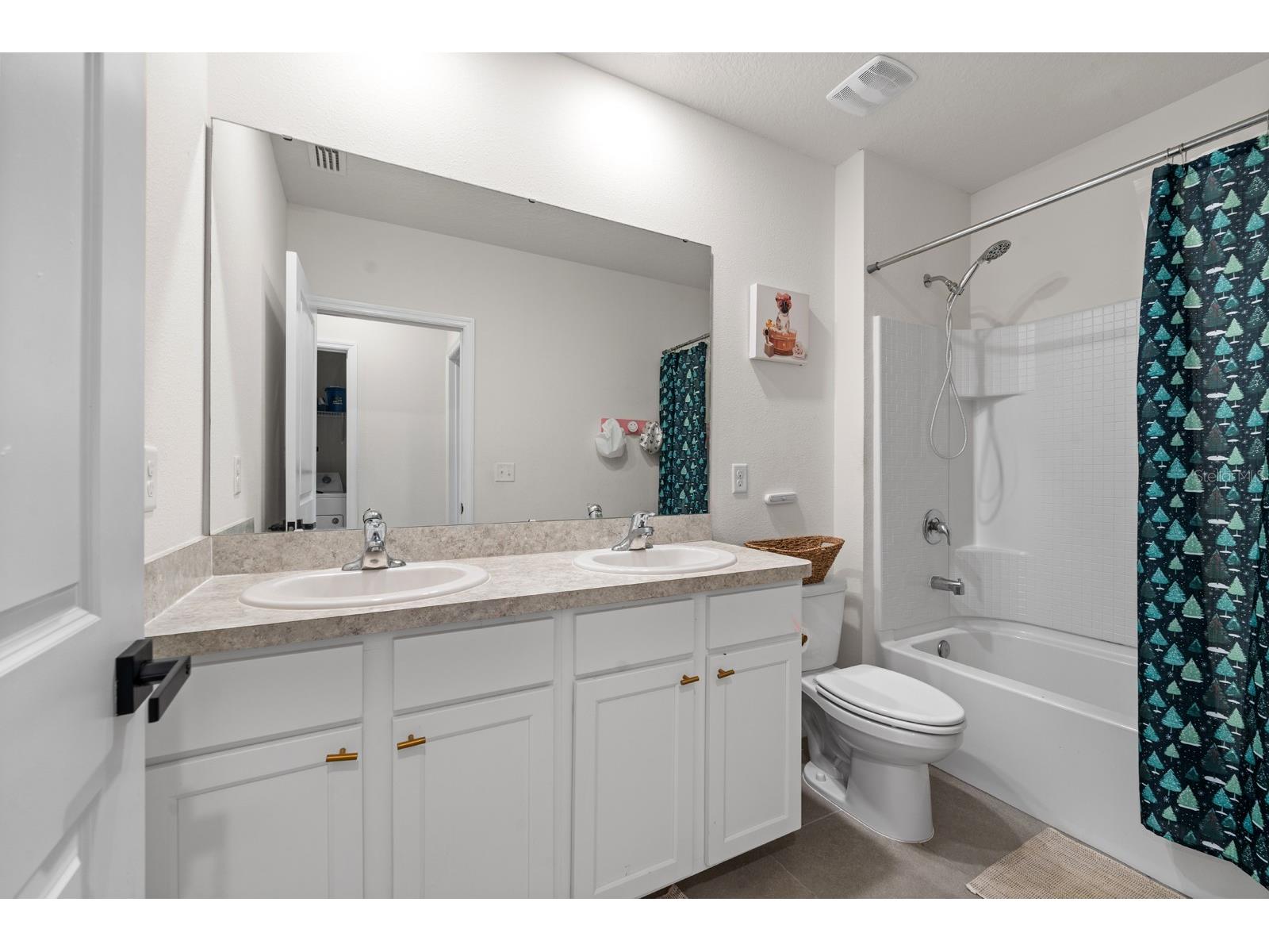 10828 Trailing Vine Drive Tampa FL 33610 TB8532265 image19
