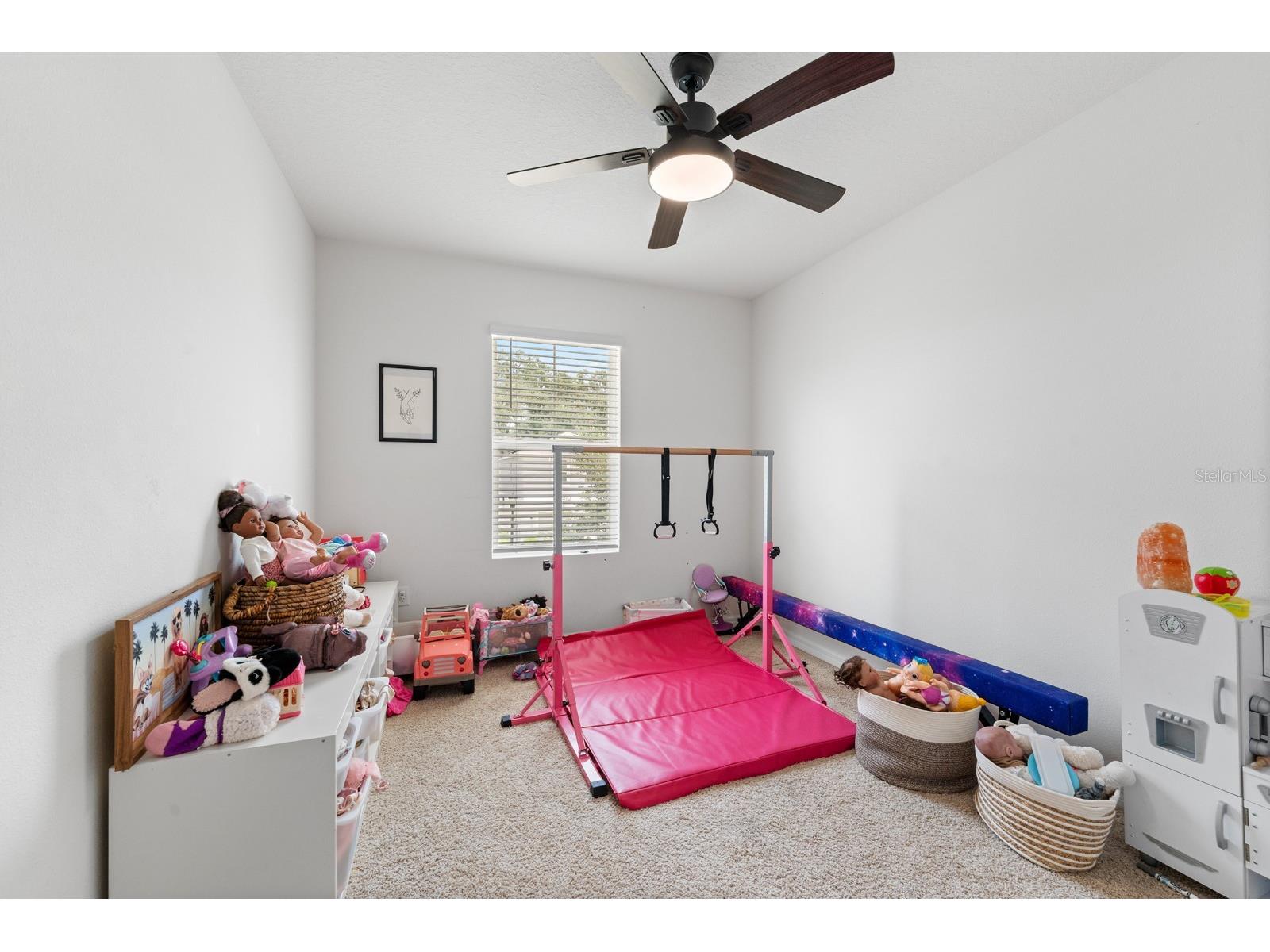 10828 Trailing Vine Drive Tampa FL 33610 TB8532265 image22