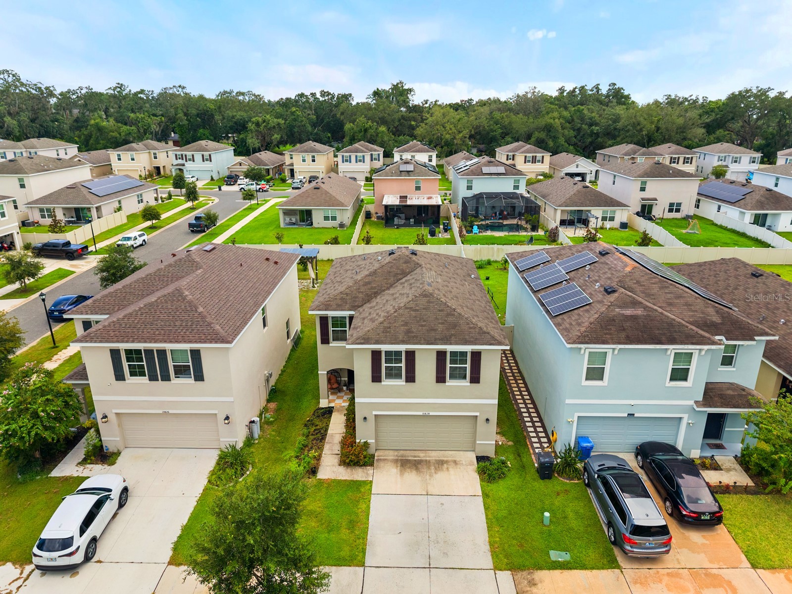 10828 Trailing Vine Drive Tampa FL 33610 TB8532265 image26