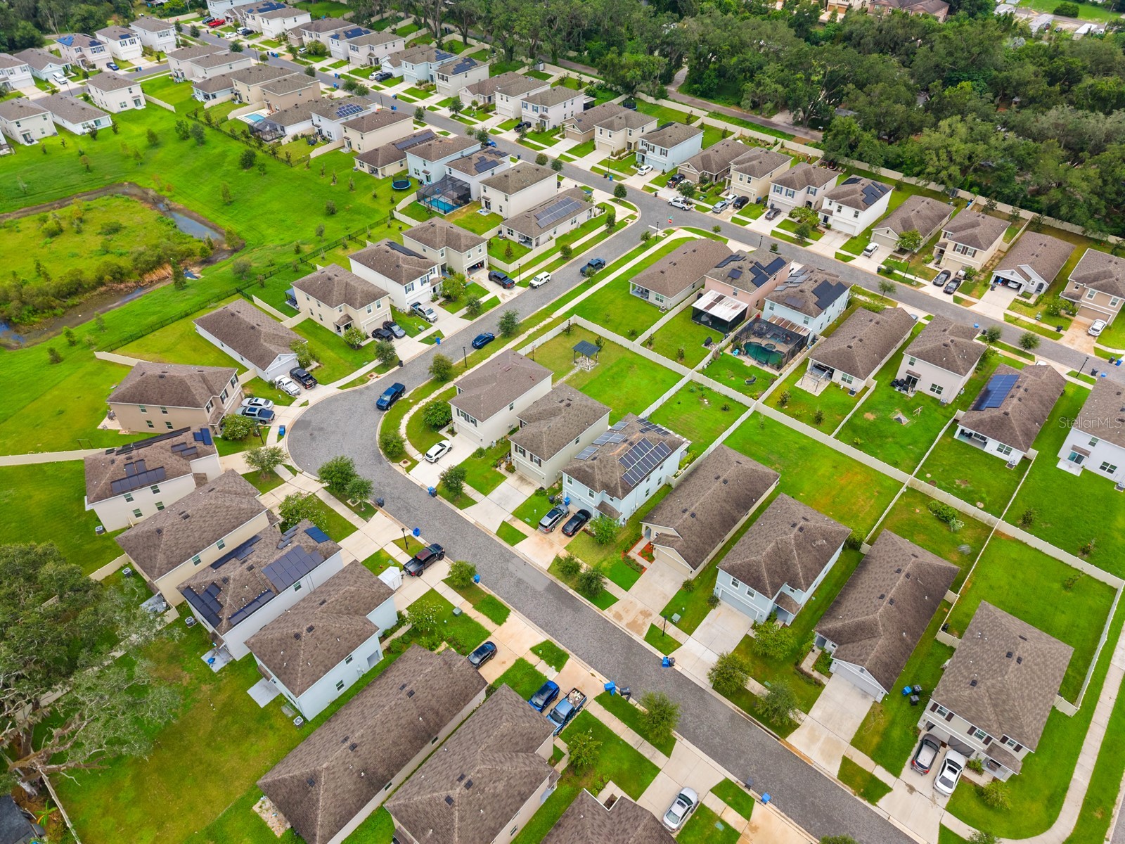 10828 Trailing Vine Drive Tampa FL 33610 TB8532265 image29