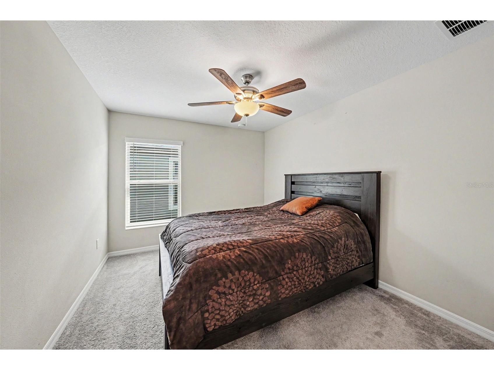 10829 Crushed Grape Drive Riverview FL 33578 TB8512902 image11