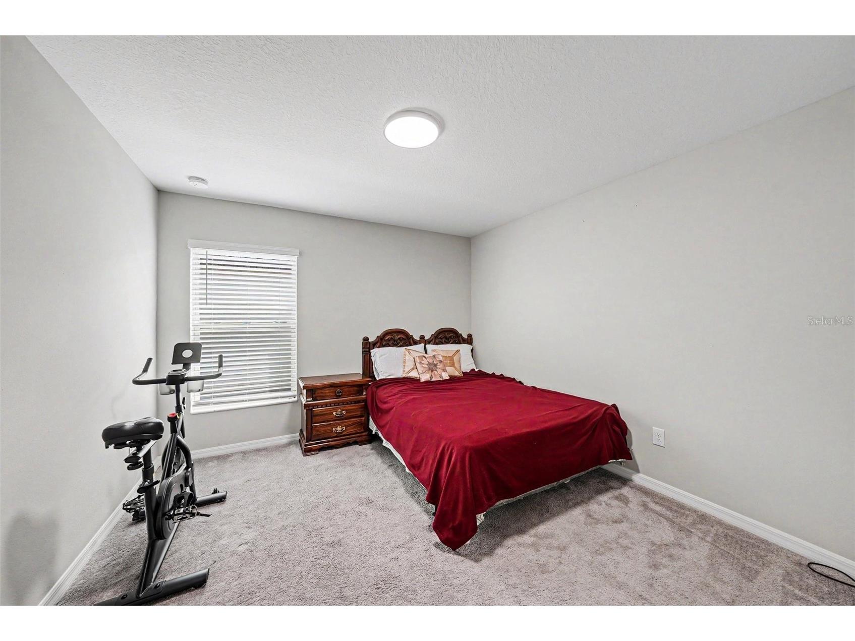 10829 Crushed Grape Drive Riverview FL 33578 TB8512902 image14