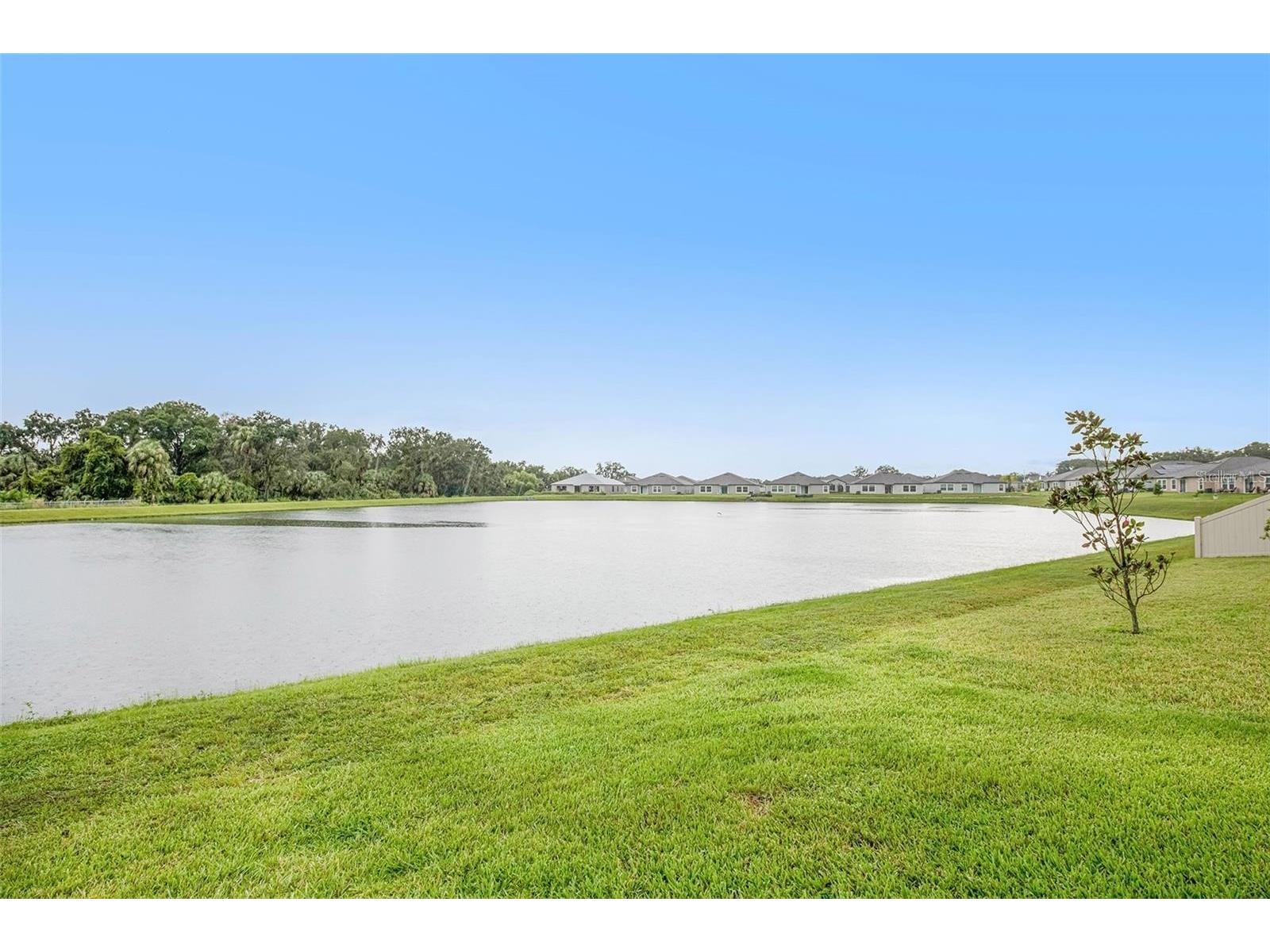 10829 Crushed Grape Drive Riverview FL 33578 TB8512902 image21