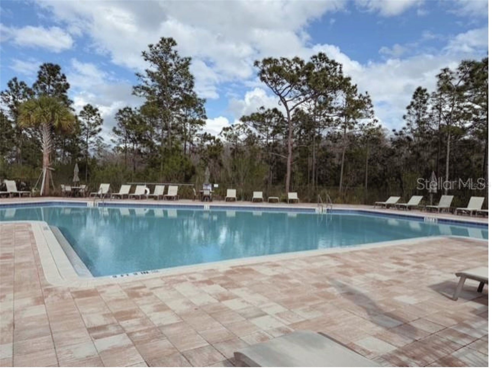 10829 Wooded Acre Alley Orlando FL 32829 O6387429 image17