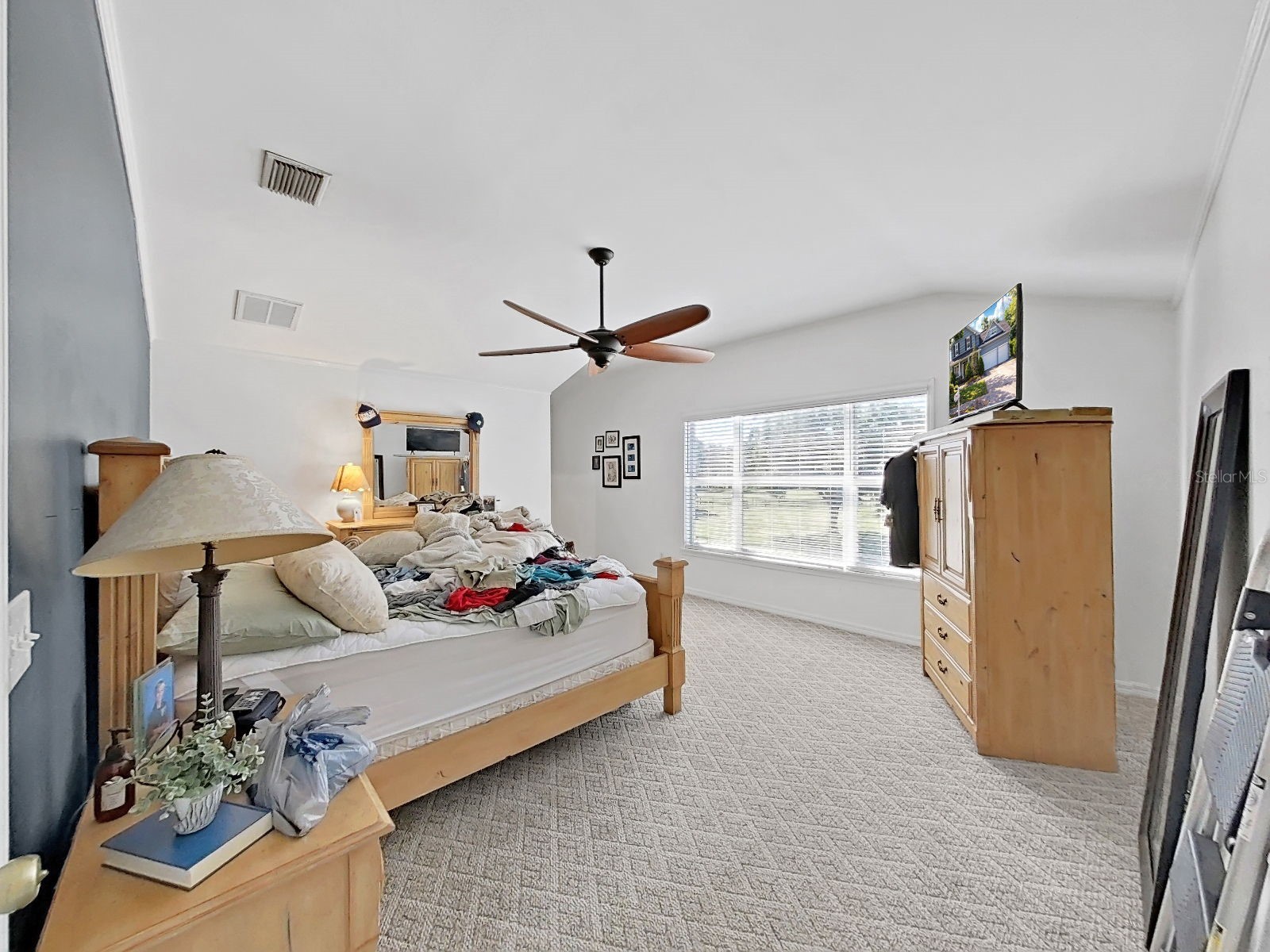 1083 Misty Hollow Lane Tarpon Springs FL 34688 TB8494023 image21
